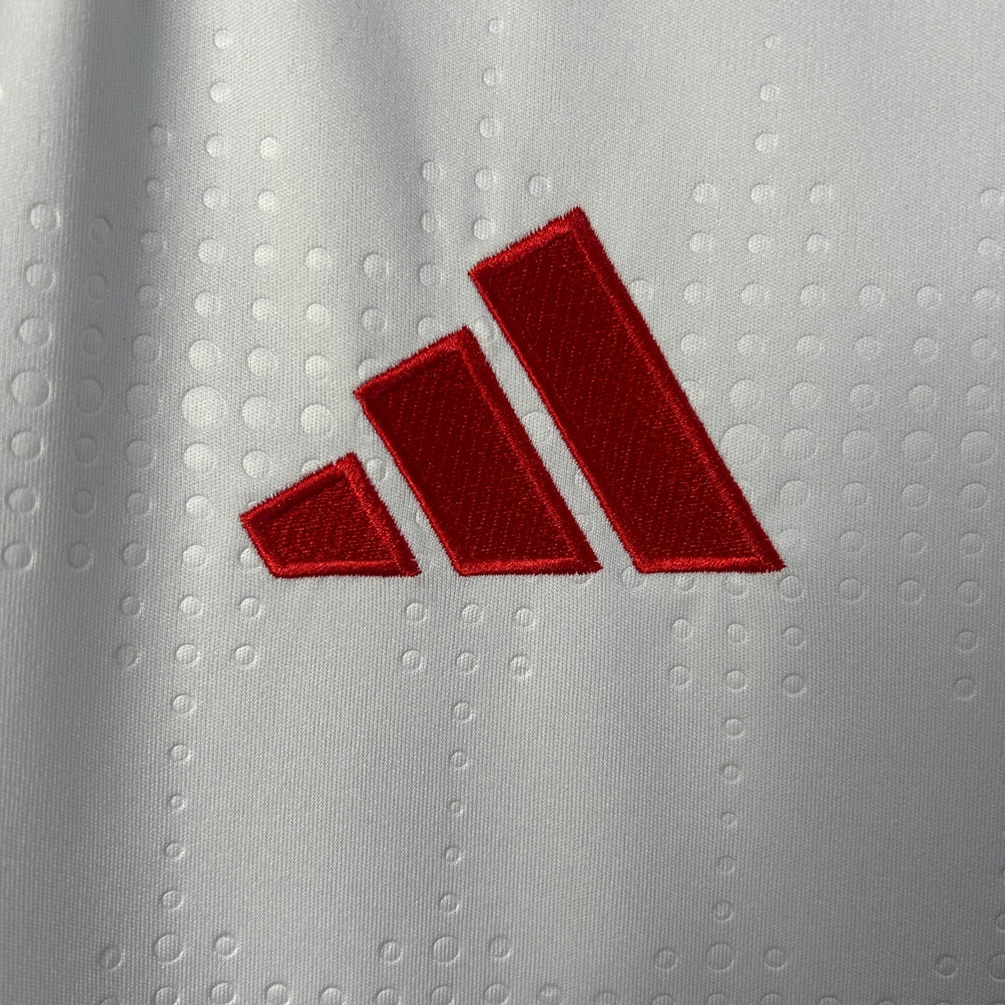 Internacional home jersey. Season 25/26 (all sponsors included)