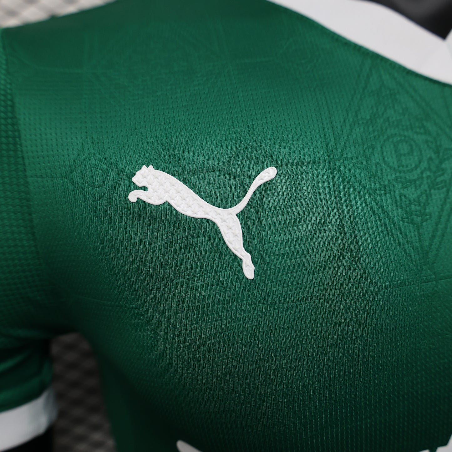 Palmeiras home jersey. Season 25/26. (All sponsors included)