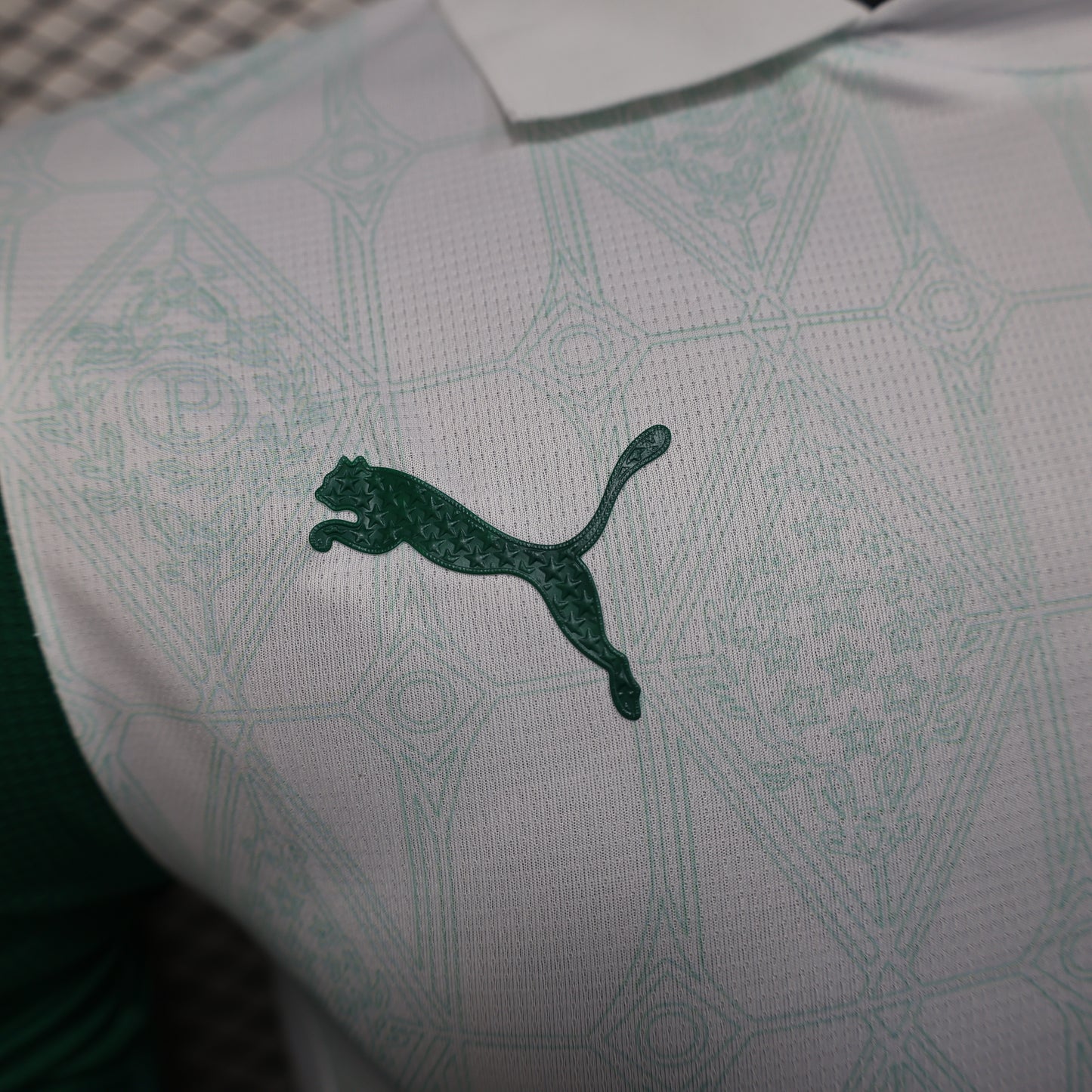 Palmeiras away jersey. Season 25/26. (All sponsors included)