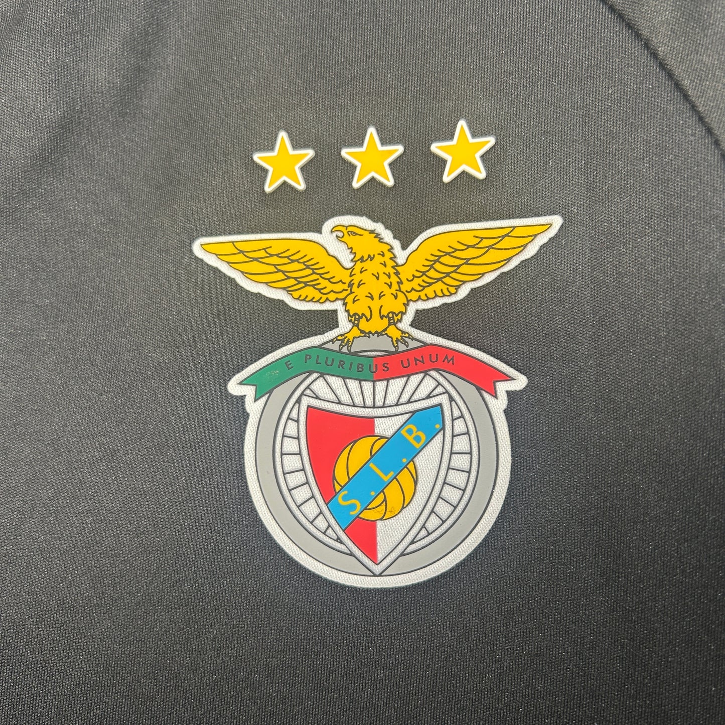 Benfica Training jersey.