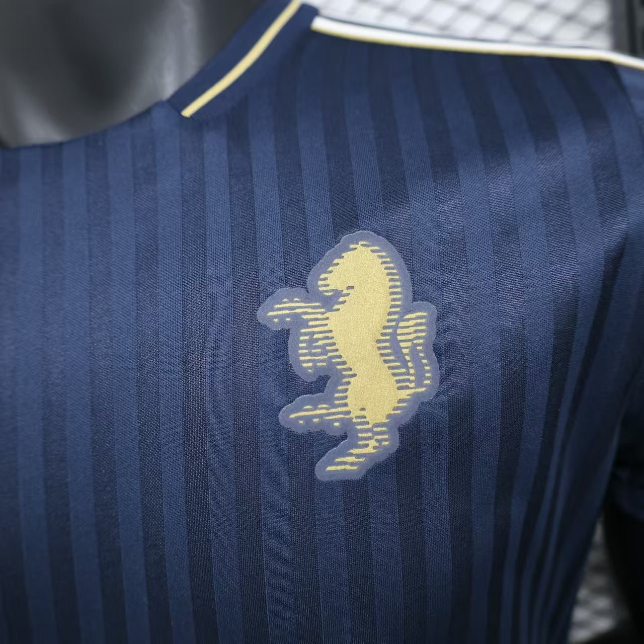 Juventus pre-match Special Edition jersey. Season 24/25 (Player Version)