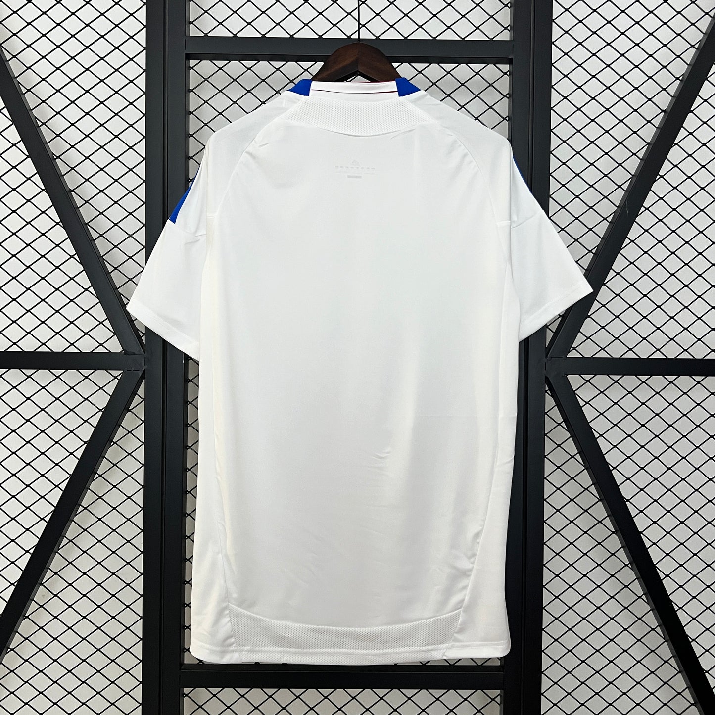 Olympique Lyon home jersey. Season 10/11