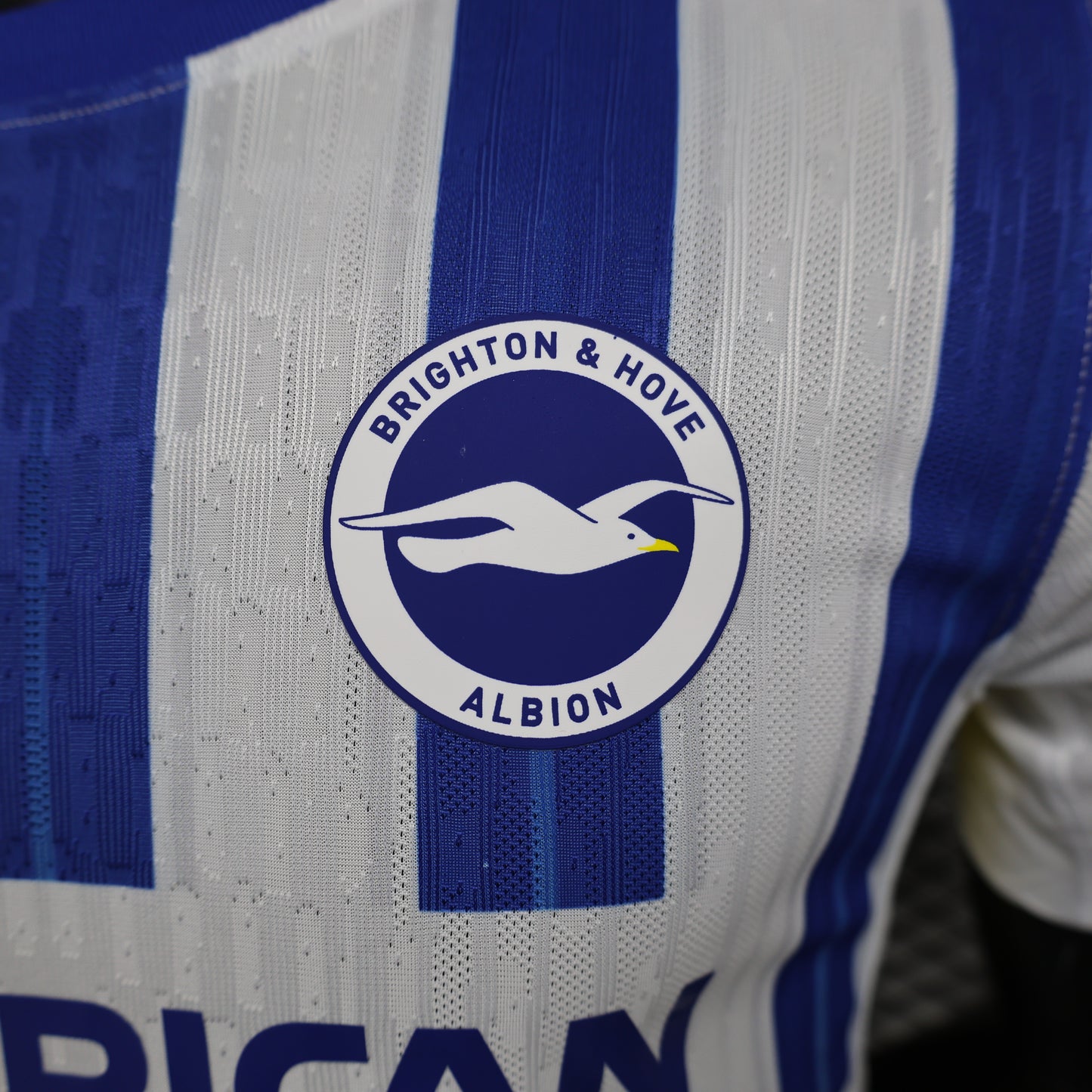 Brighton & Hove Albion home jersey. Season 24/25 (Player Version)