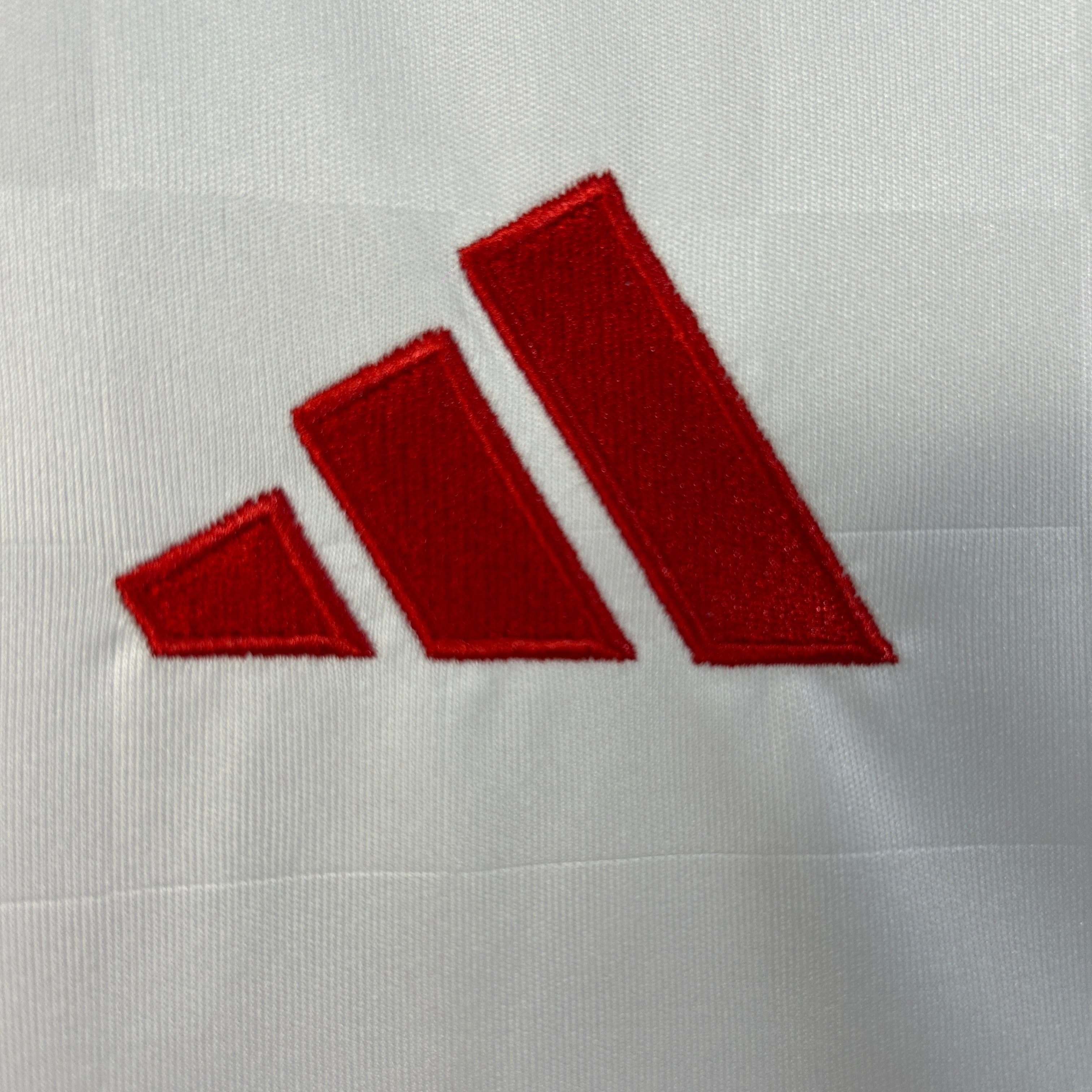 Benfica third jersey. Season 25/26