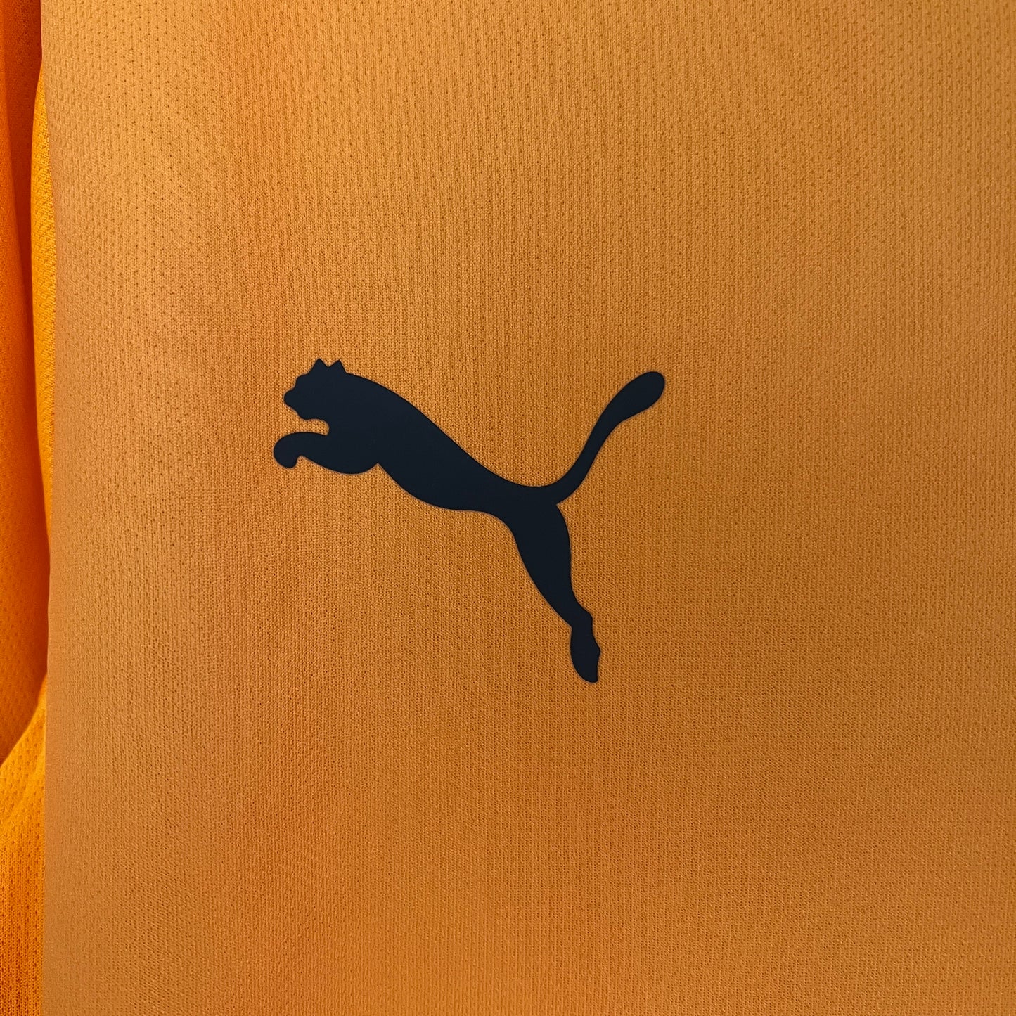 Galatasaray home jersey. Season 24/25