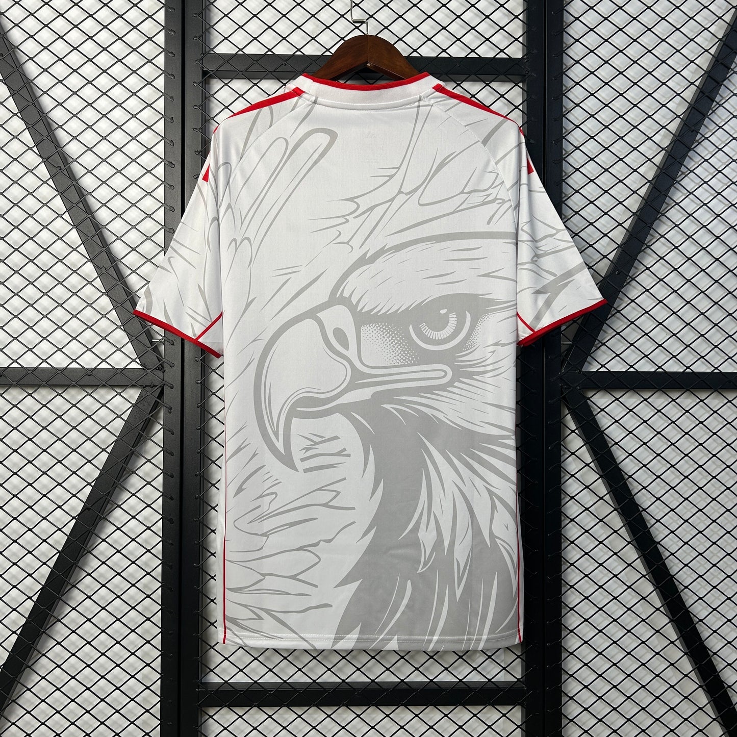 Benfica special edition jersey.