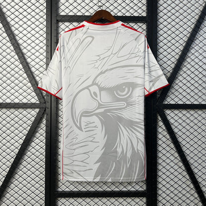 Benfica special edition jersey.