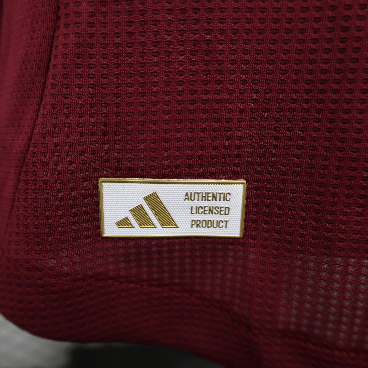 Aston Villa home jersey season 24/25 (Player Version)