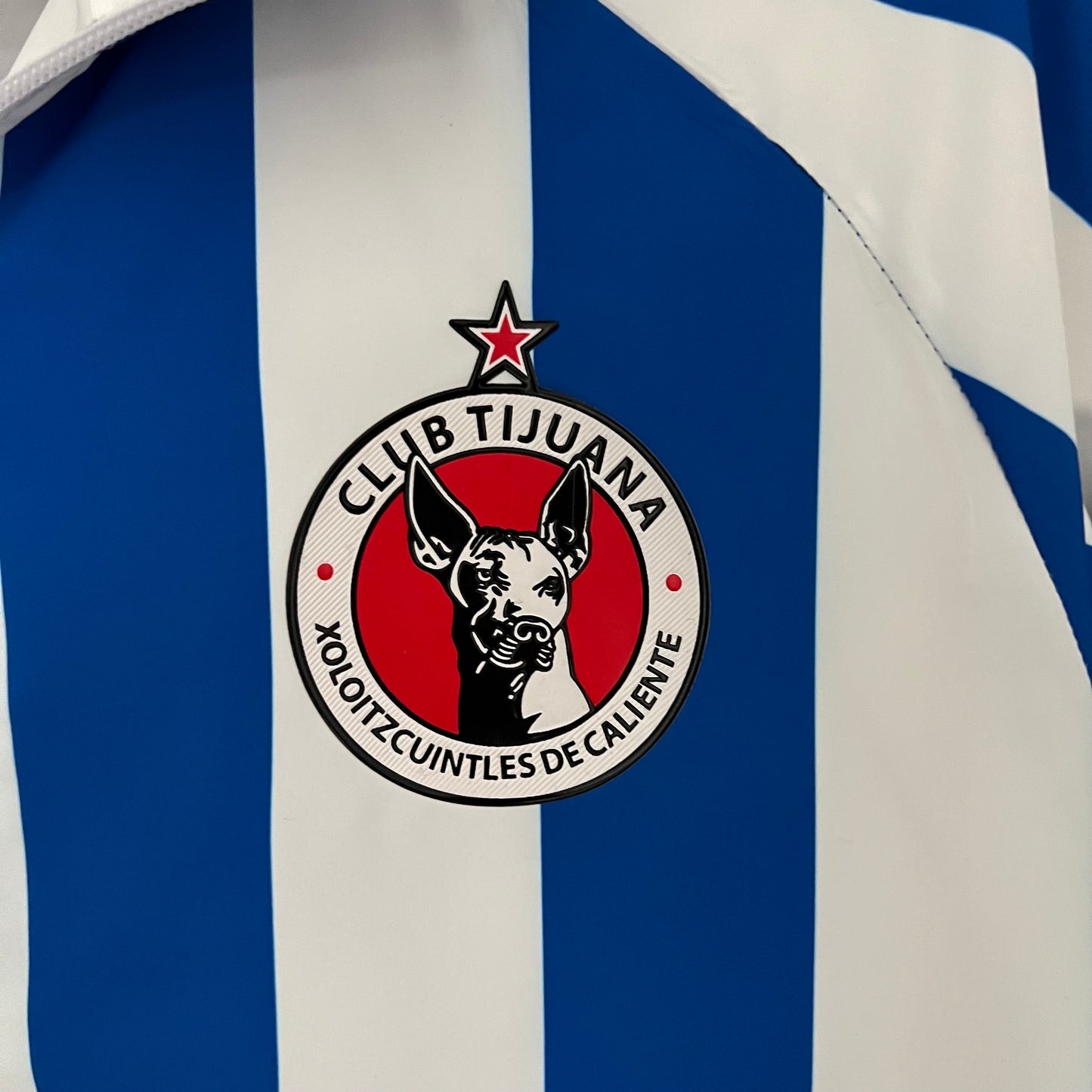 Xoloitzcuintles de Caliente double-sided Windbreaker