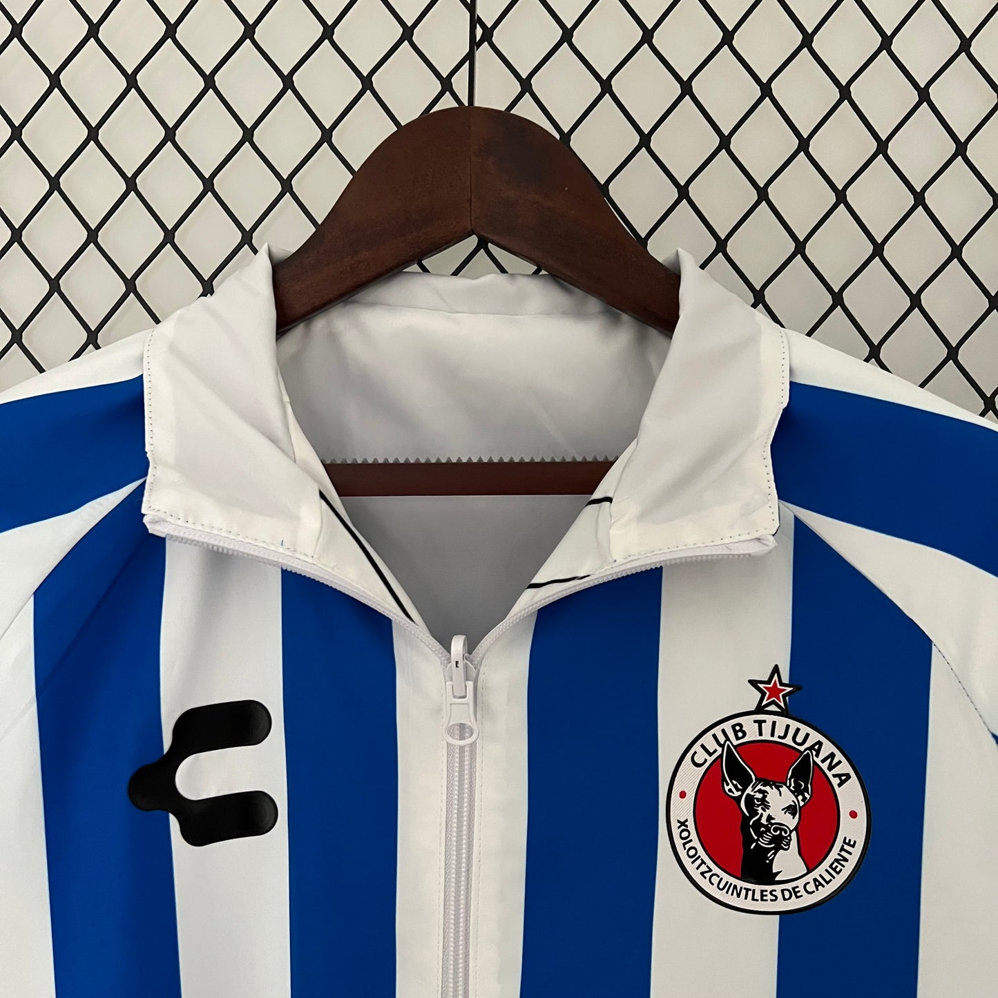 Xoloitzcuintles de Caliente double-sided Windbreaker