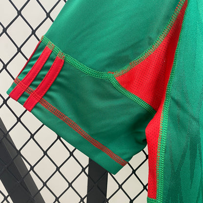 Mexico home jersey. Season 2010