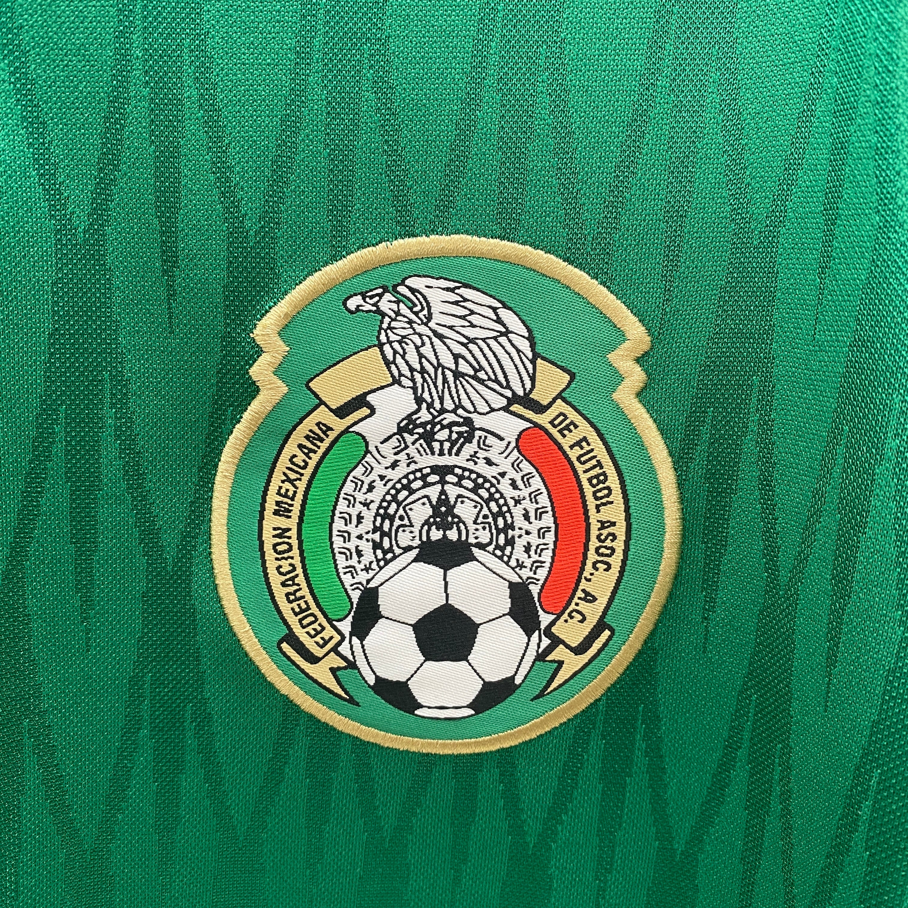 Mexico home jersey. Season 2010