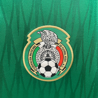 Mexico home jersey. Season 2010