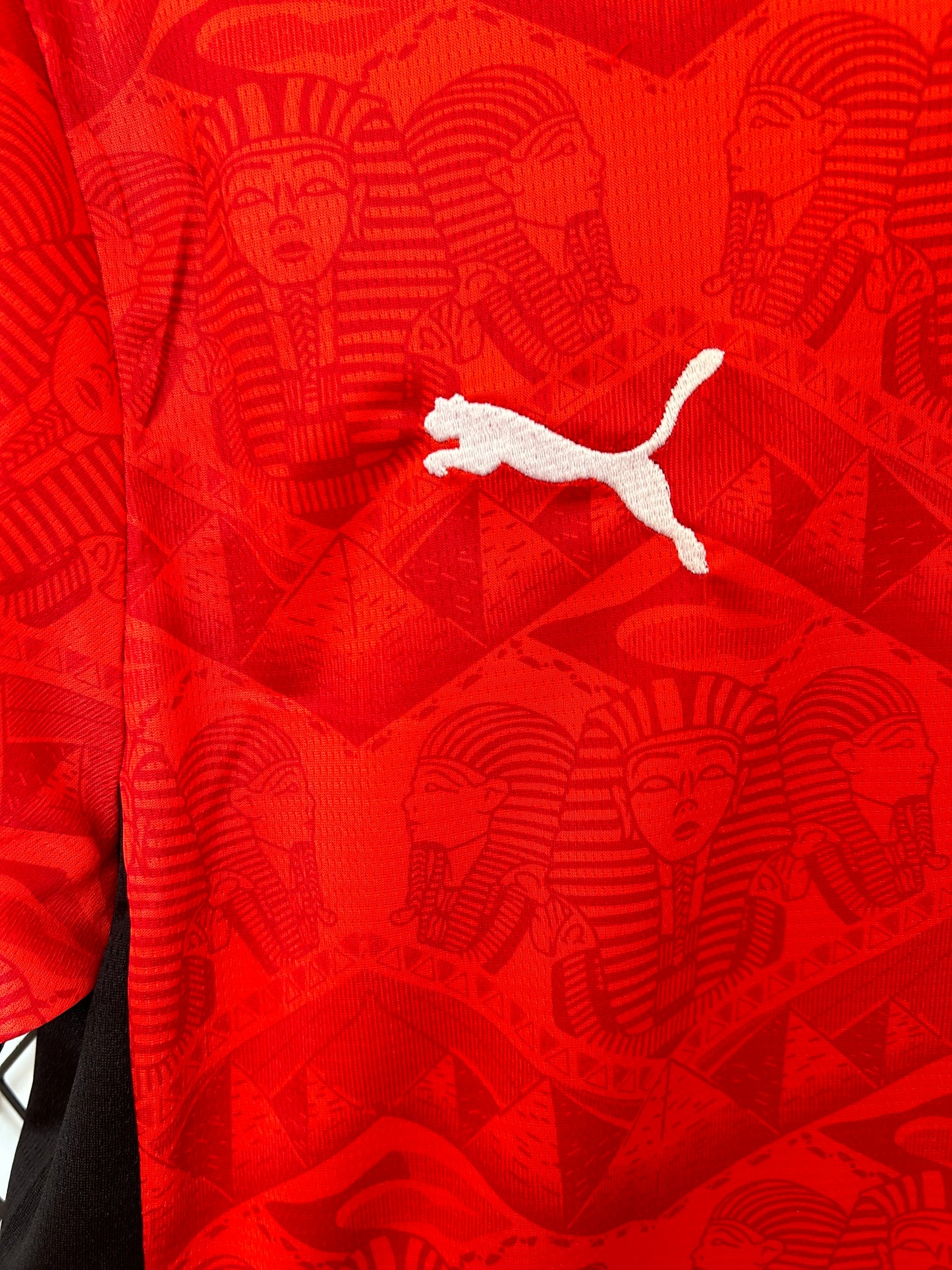 Egypt home jersey. Season 25/26