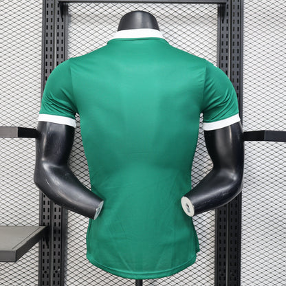 Palmeiras home jersey. Season 25/26. (All sponsors included)
