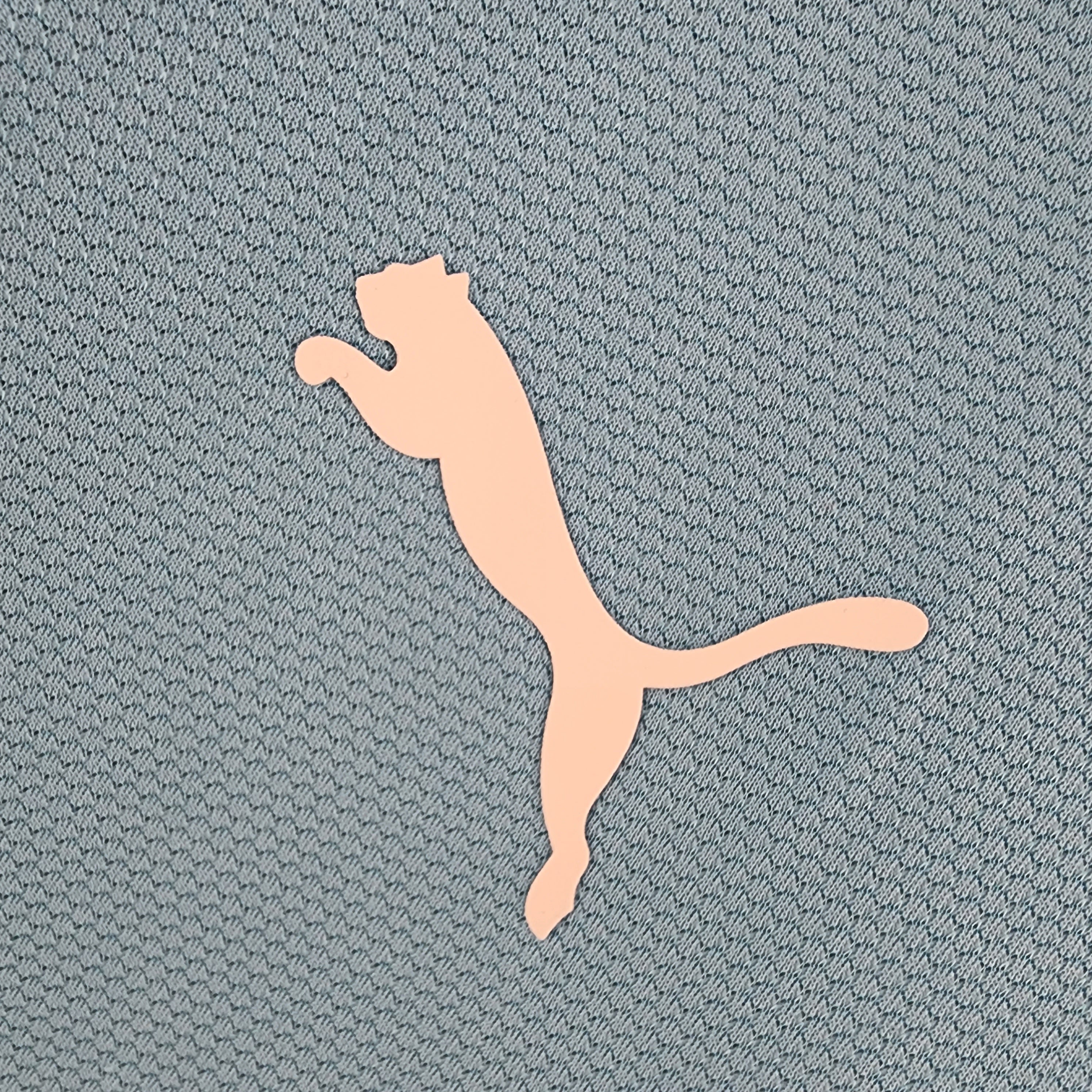 Tottenham Hotspur away jersey. Season 06/07