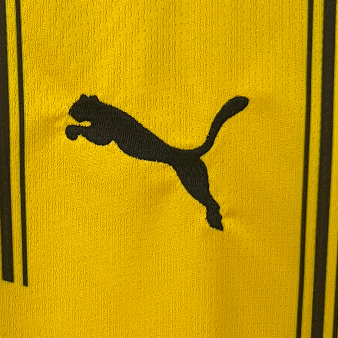 Borussia Dortmund home jersey. Season 24/25