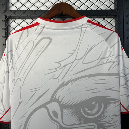Benfica special edition jersey.