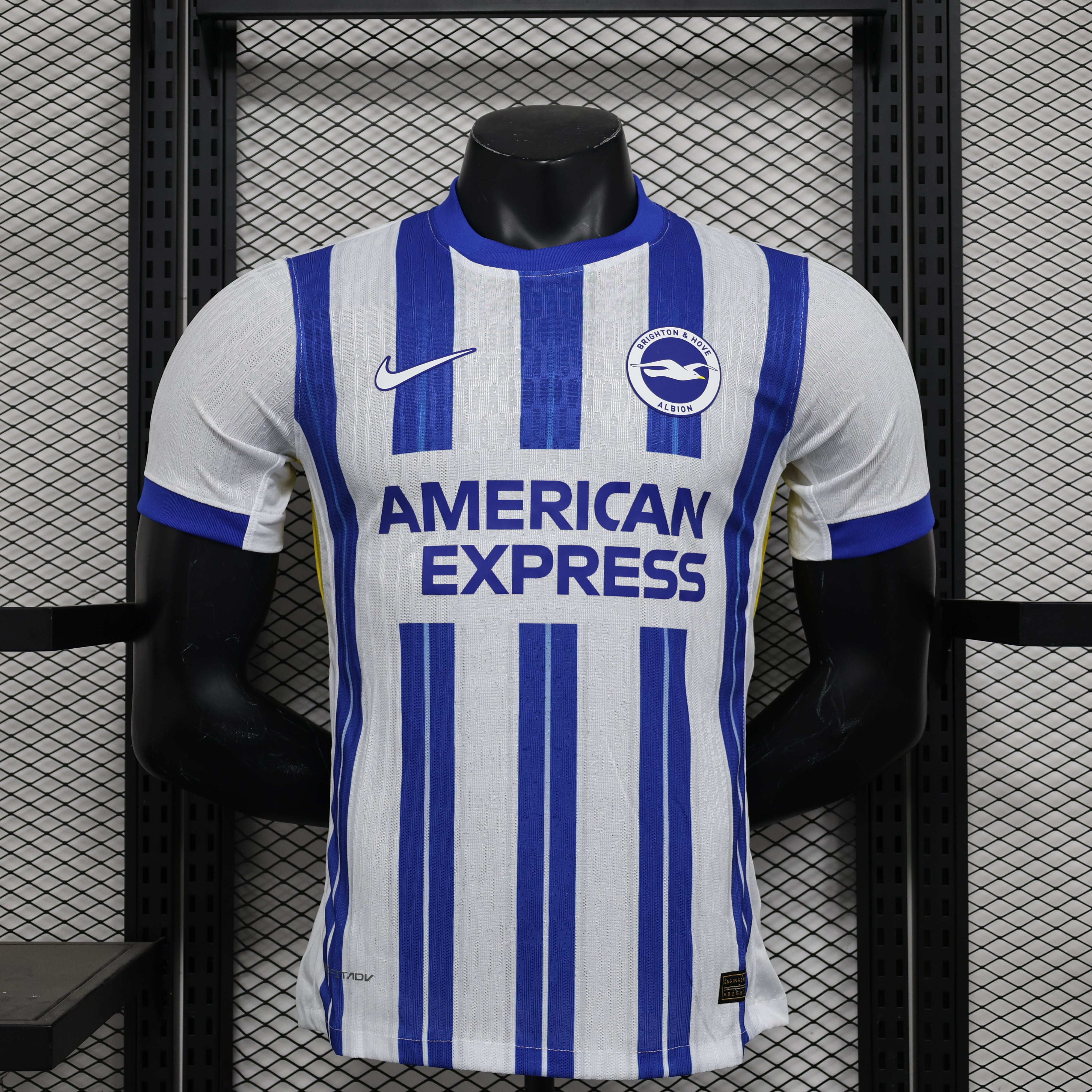 Brighton & Hove Albion home jersey. Season 24/25 (Player Version)