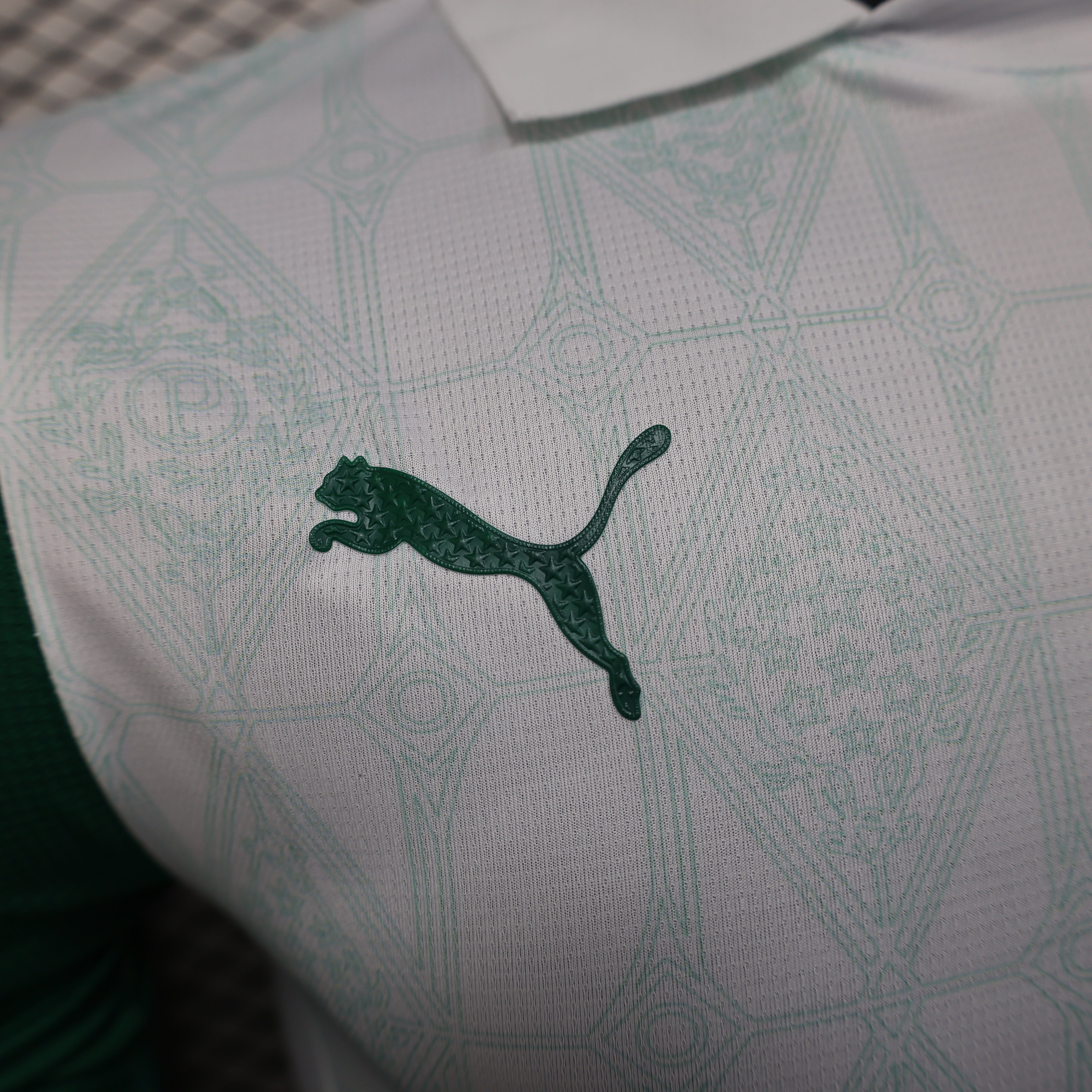 Palmeiras away jersey. Season 25/26. (All sponsors included)