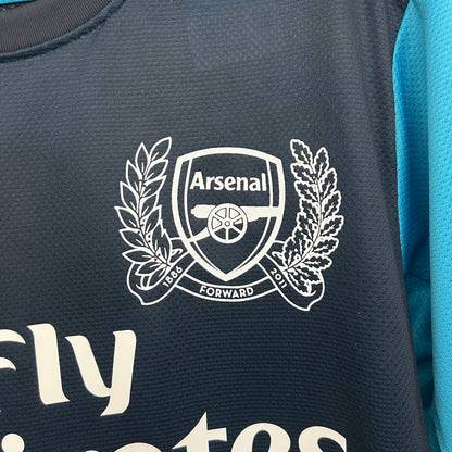 Arsenal away jersey. Season 11/12