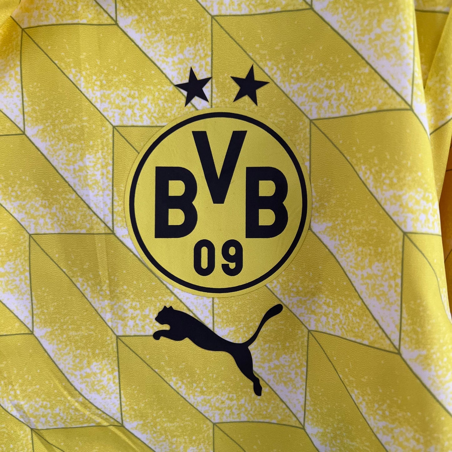 Borussia Dortmund double-sided windbreaker