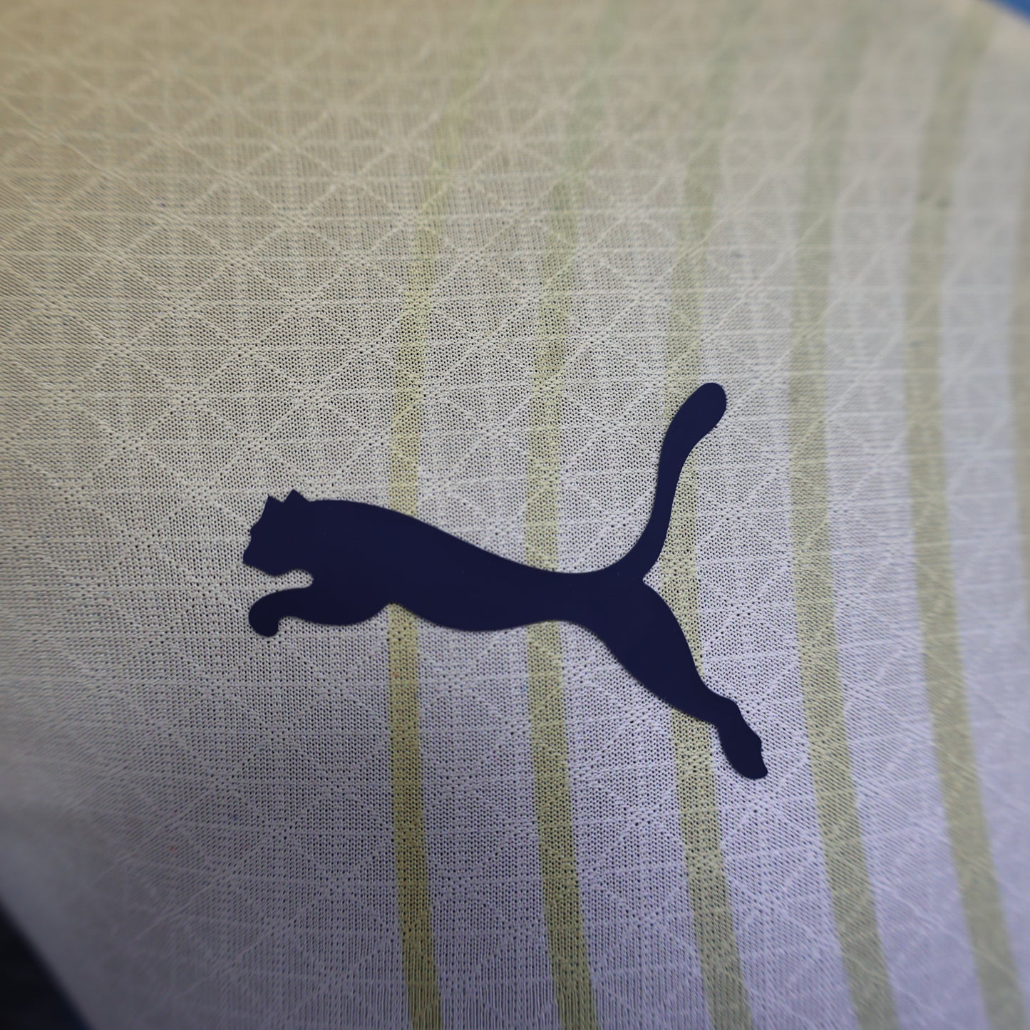 Manchester City third jersey. Season 24/25 (Player Version)