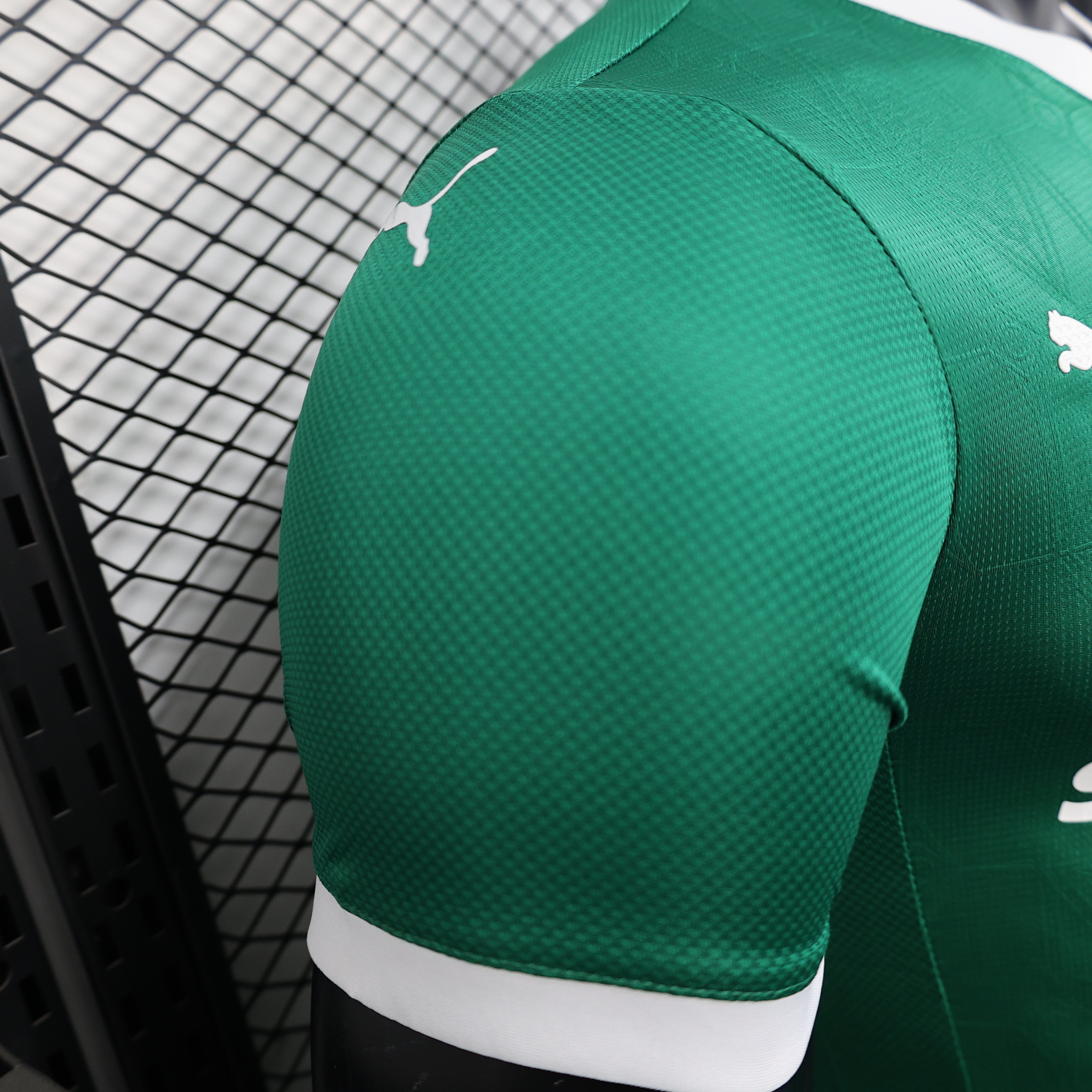 Palmeiras home jersey. Season 25/26. (All sponsors included)