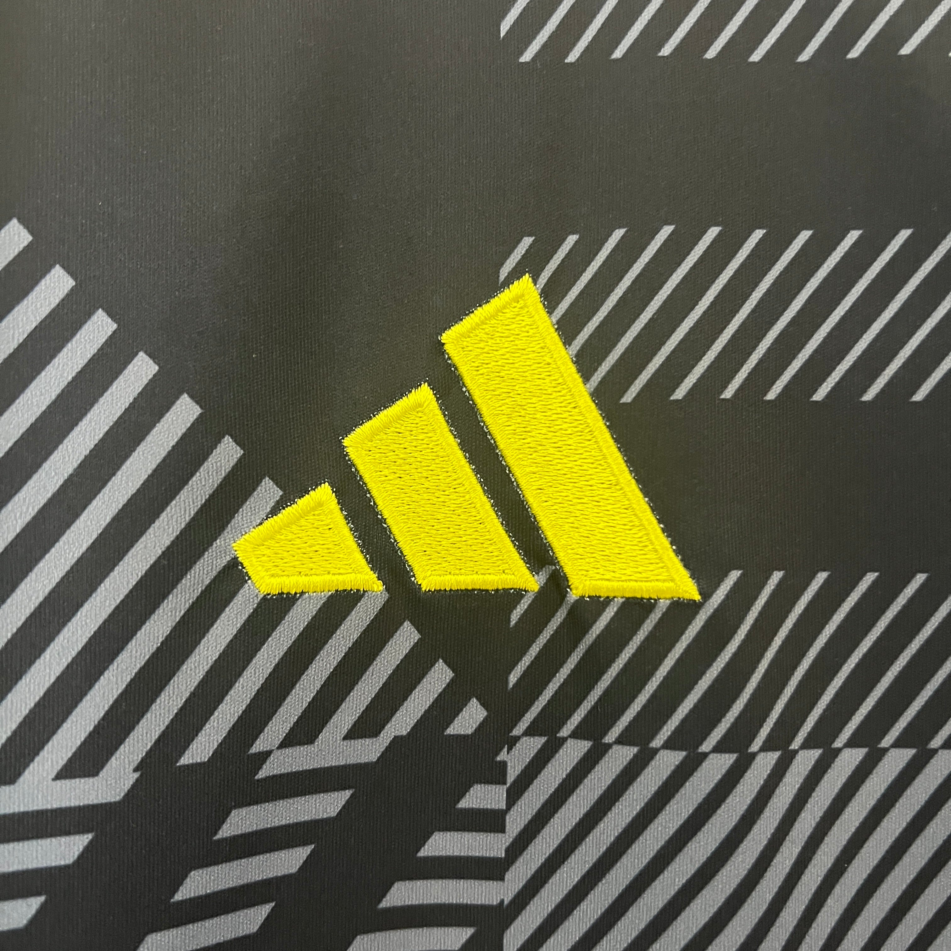 Scotland 2024 home jersey.