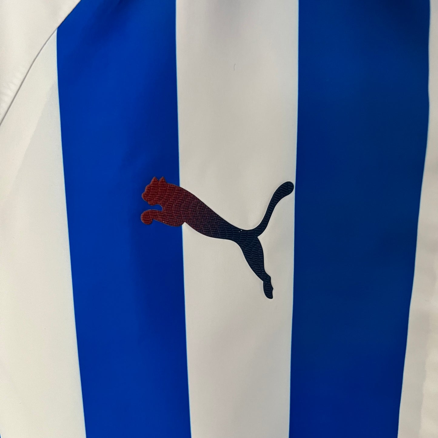 C.D. Guadalajara double-sided Windbreaker