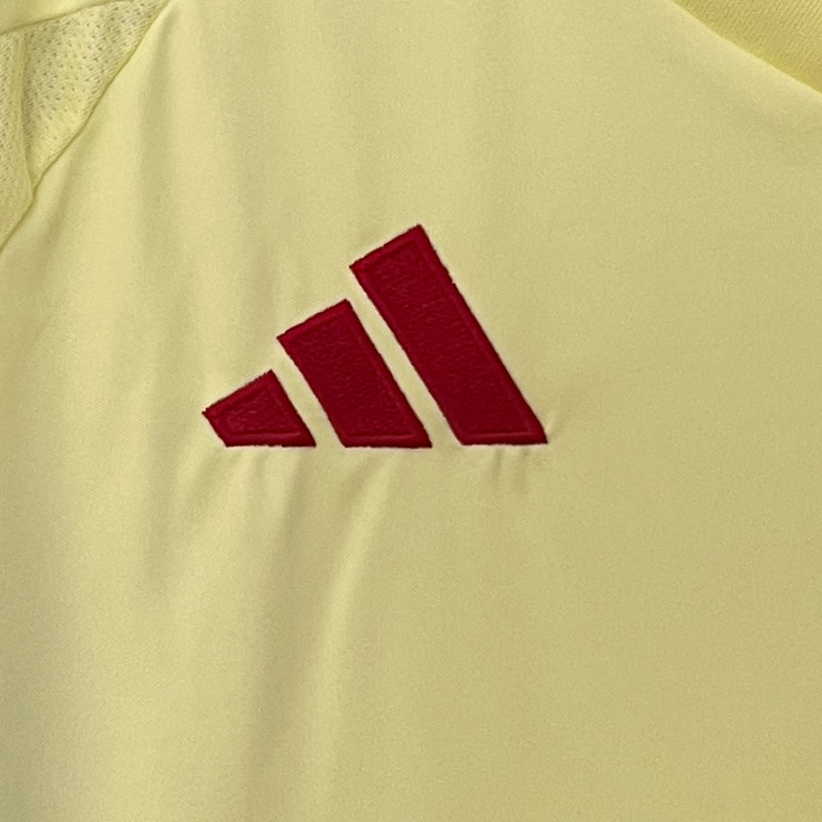 Spain 2024 away jersey