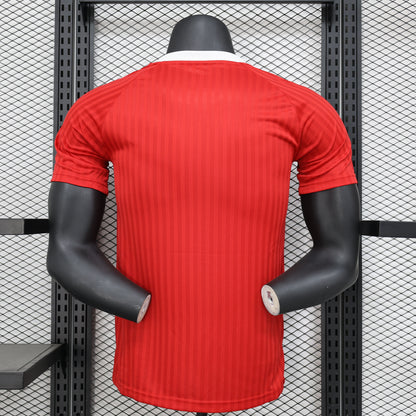 Manchester United Special Edition jersey. Season 24/25 (Player Version)