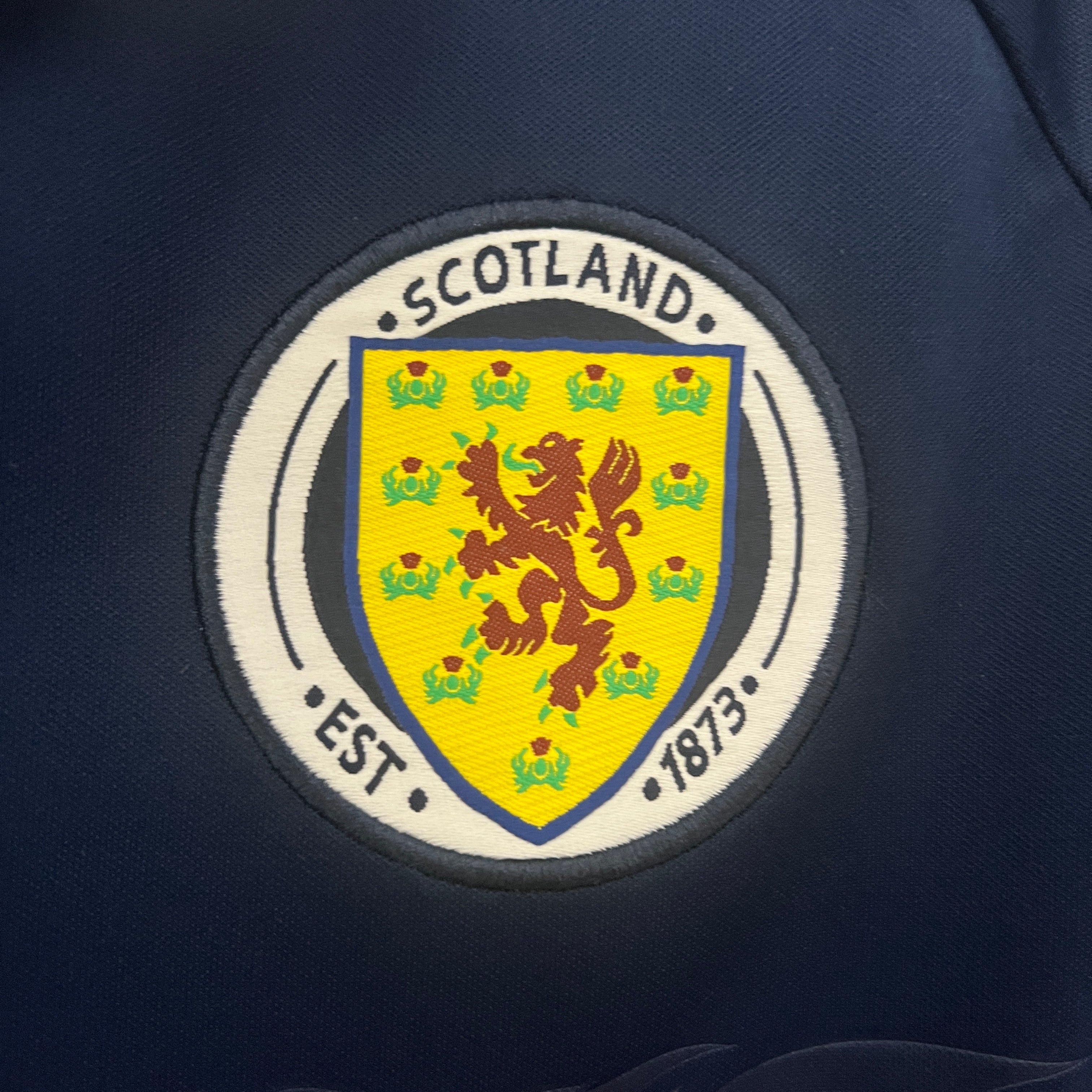 Scotland 2012 home jersey.