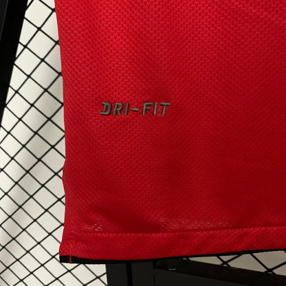 Manchester United home jersey. Season 10/11