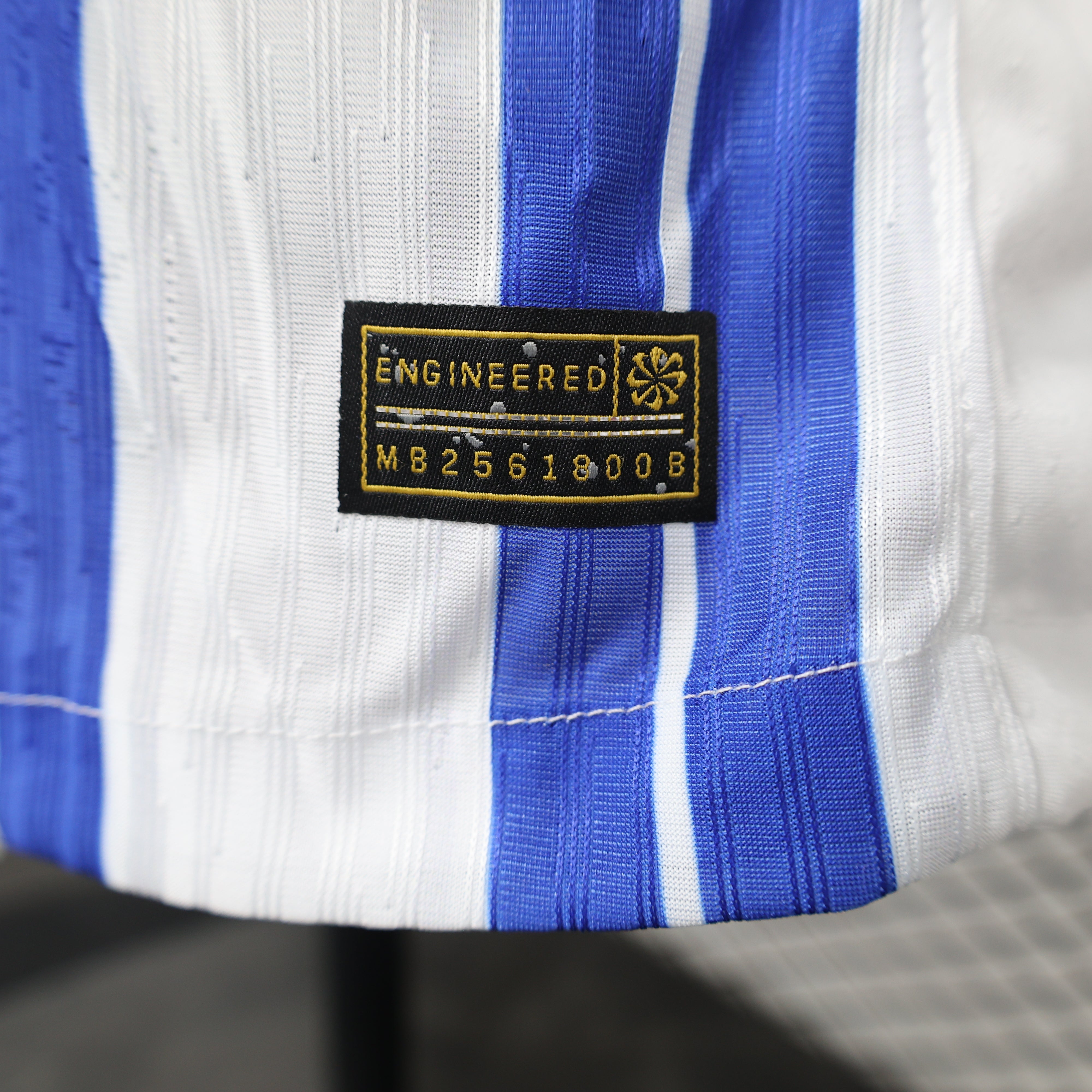 Brighton & Hove Albion home jersey. Season 24/25 (Player Version)