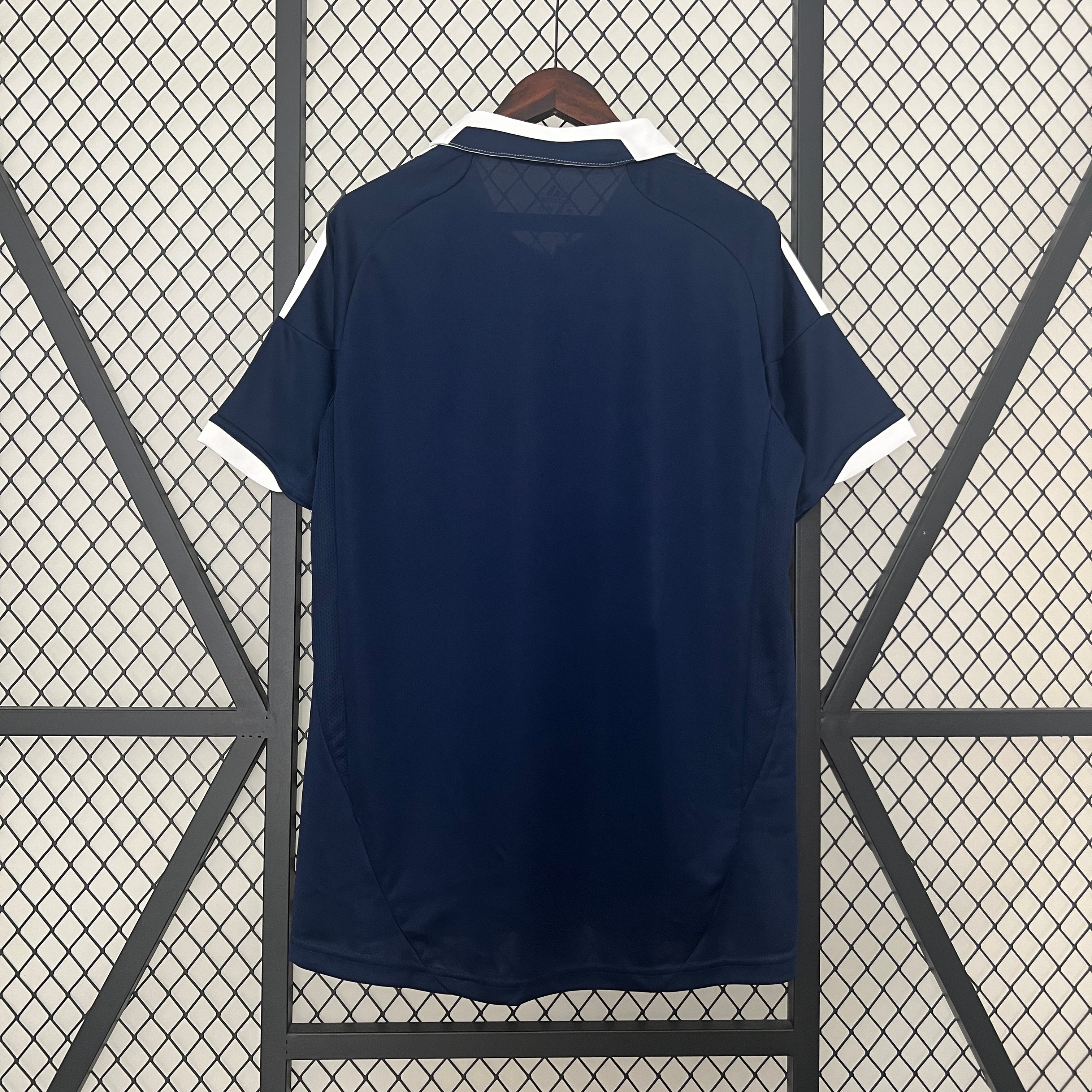 Scotland 2012 home jersey.