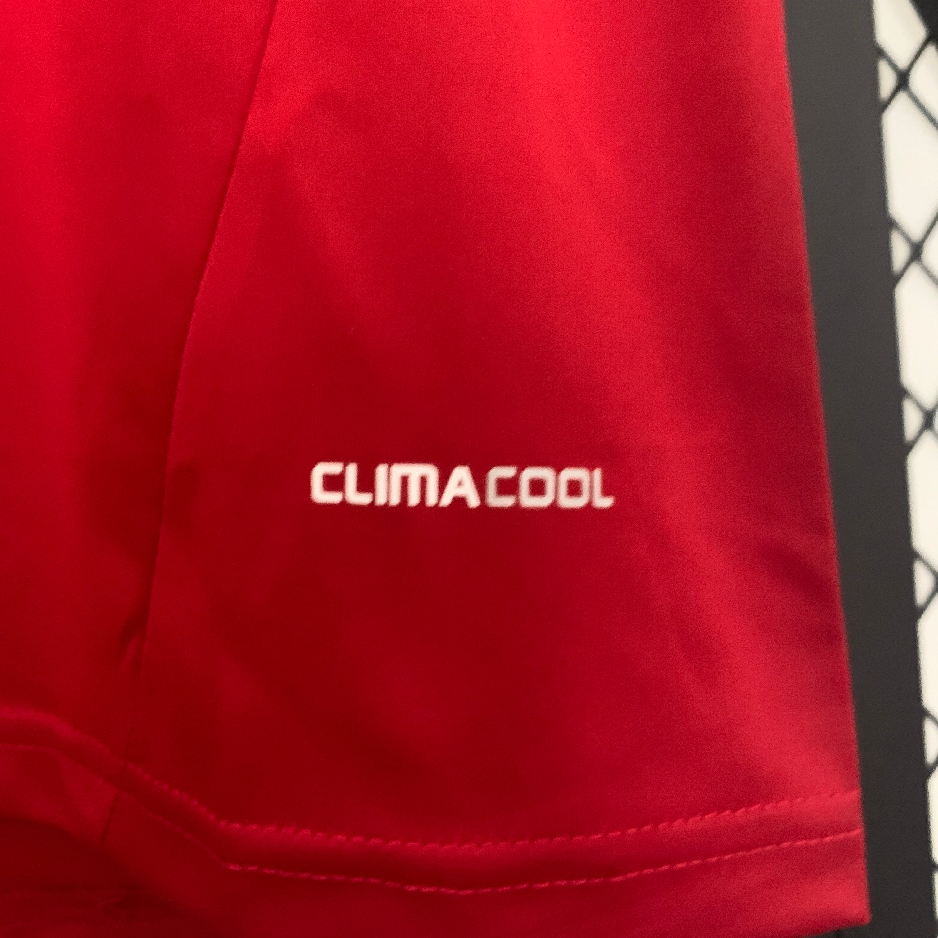 Spain 2010 home jersey.