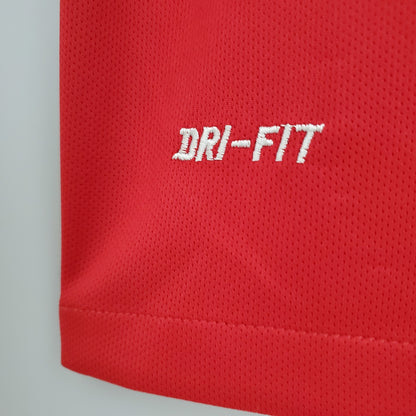 Portugal home jersey. Season 2016