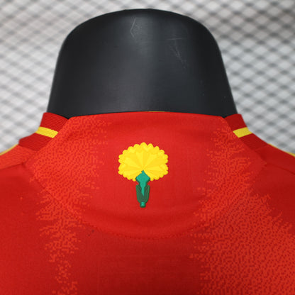 Spain 2024 home jersey. (Player Version)