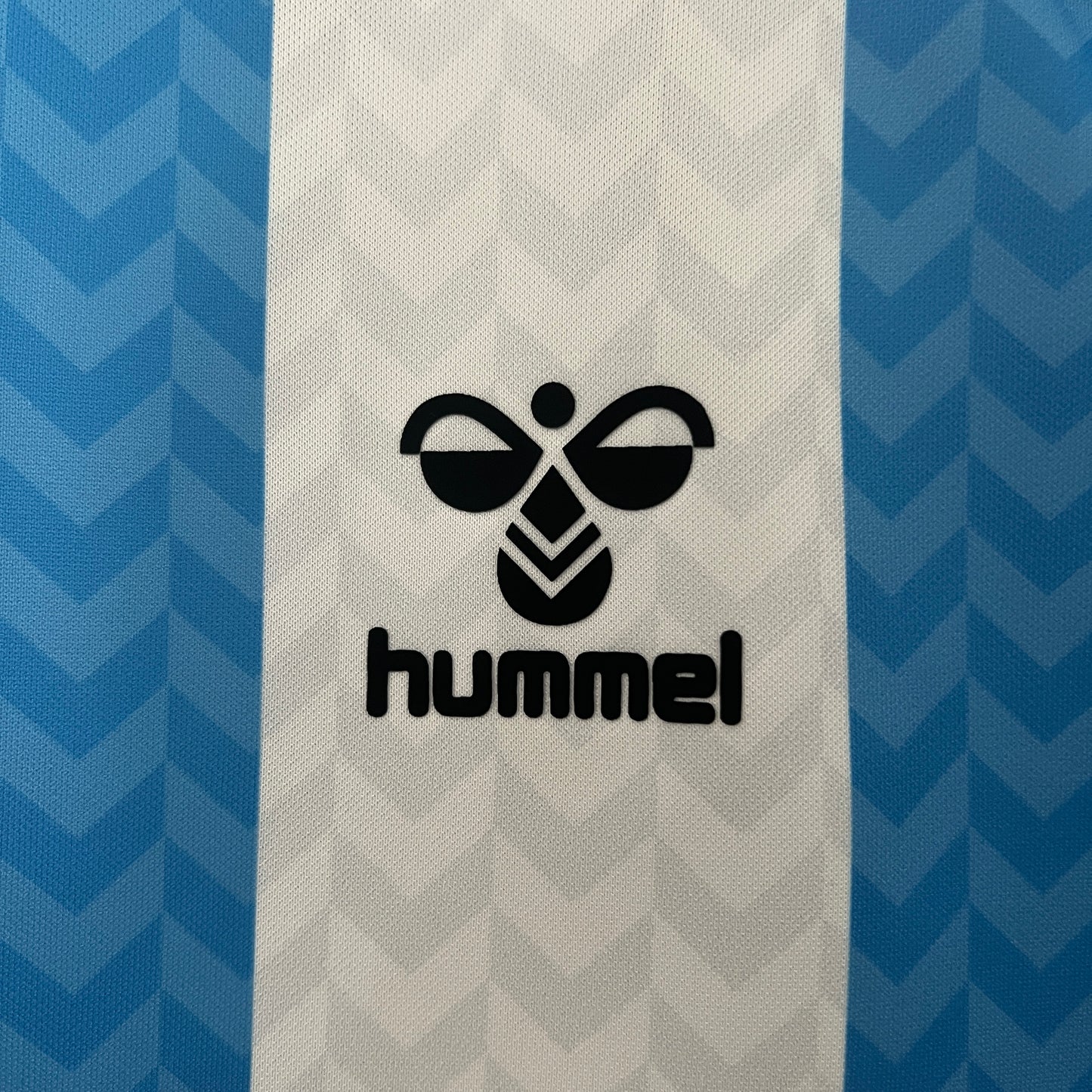 Malaga CF 120th Anniversary home jersey.