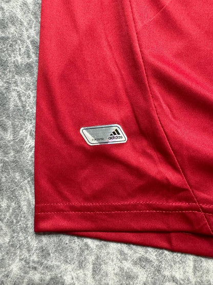 Spain's 2012 UEFA EURO home jersey. Fernando Torres.