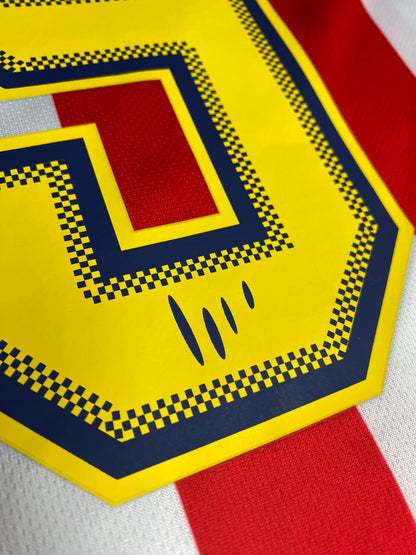 Atletico Madrid longsleeve home jersey. Season 04/05. Fernando Torres