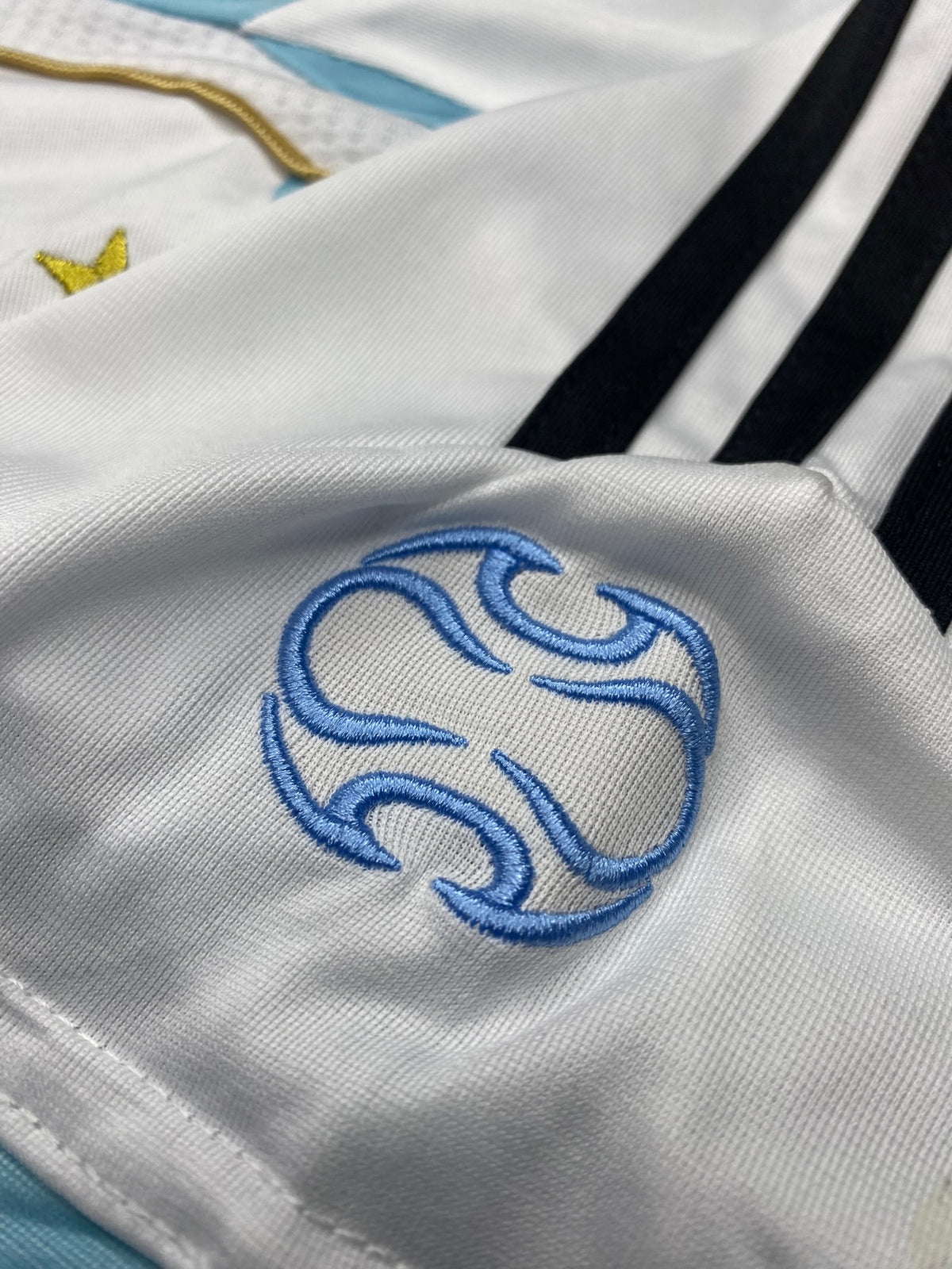 Argentina's home jersey for the 2006 World Cup. Juan Roman Riquelme