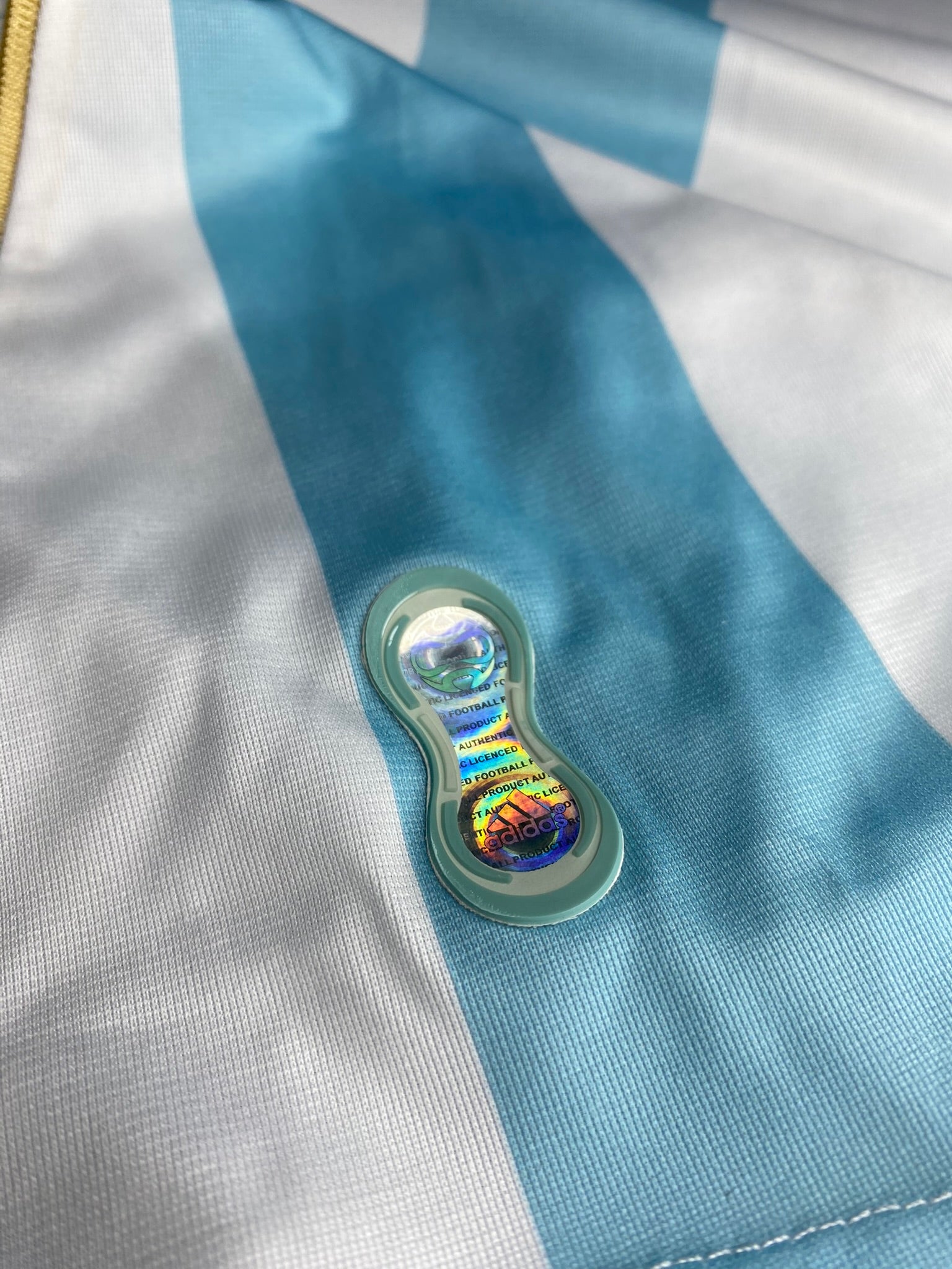 Argentina's home jersey for the 2006 World Cup. Juan Roman Riquelme