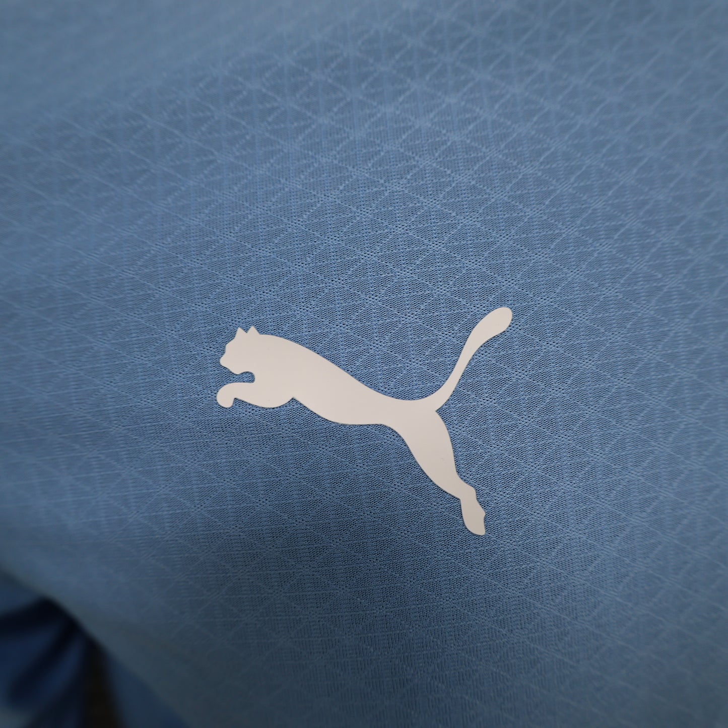 Manchester City longsleeve home jersey. Season 24/25 (Player Version)