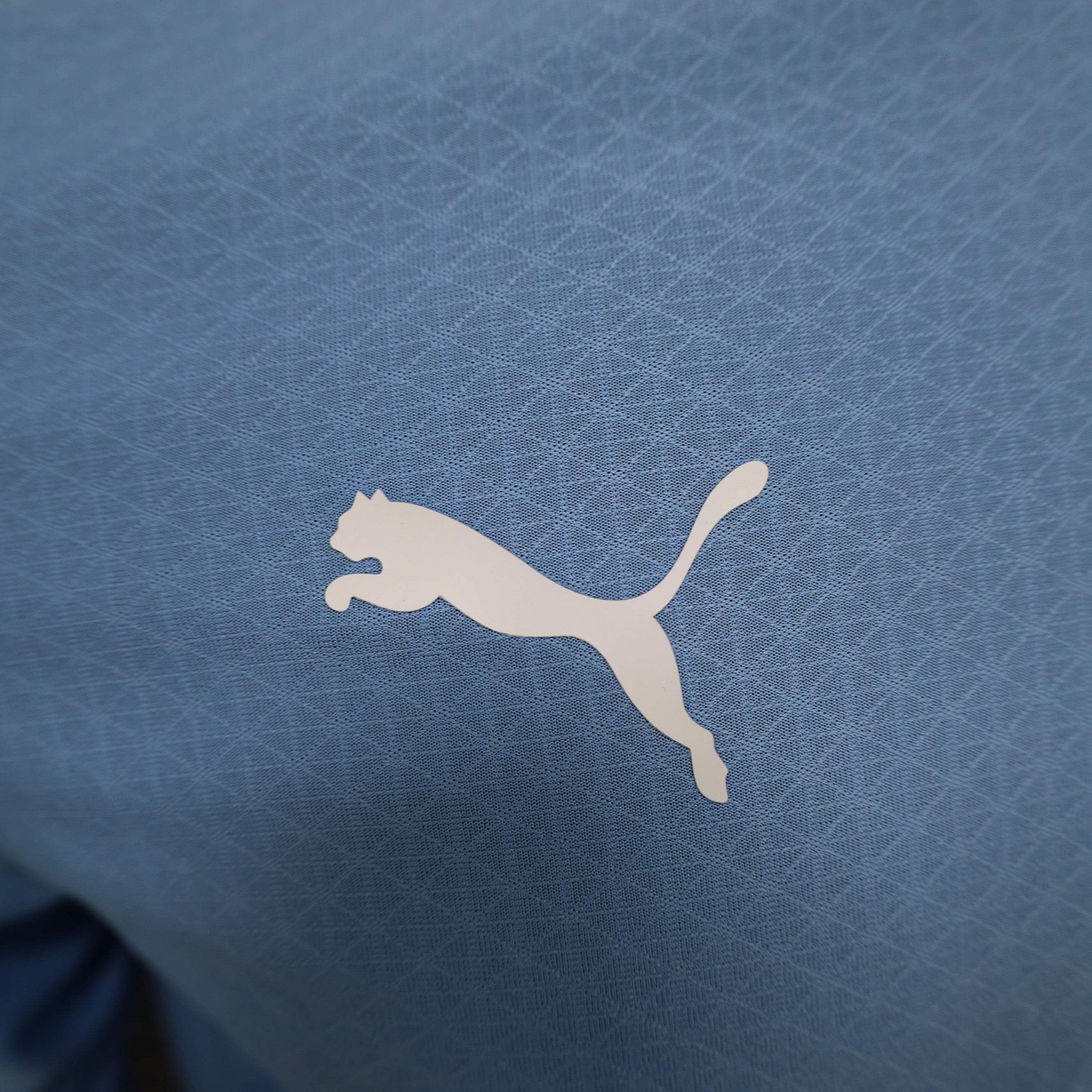 Manchester City longsleeve home jersey. Season 24/25 (Player Version)