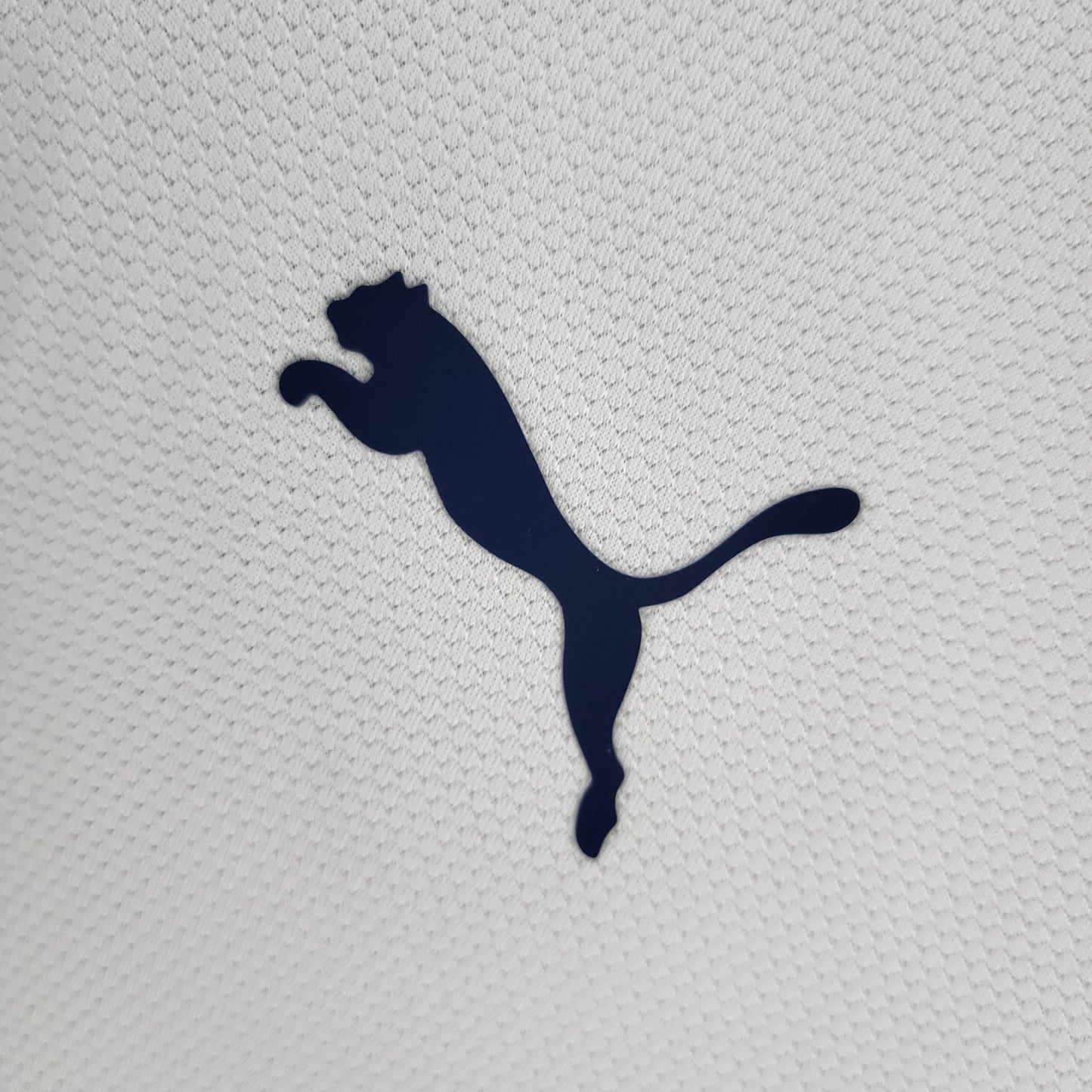 Tottenham Hotspur home jersey. Season 06/07