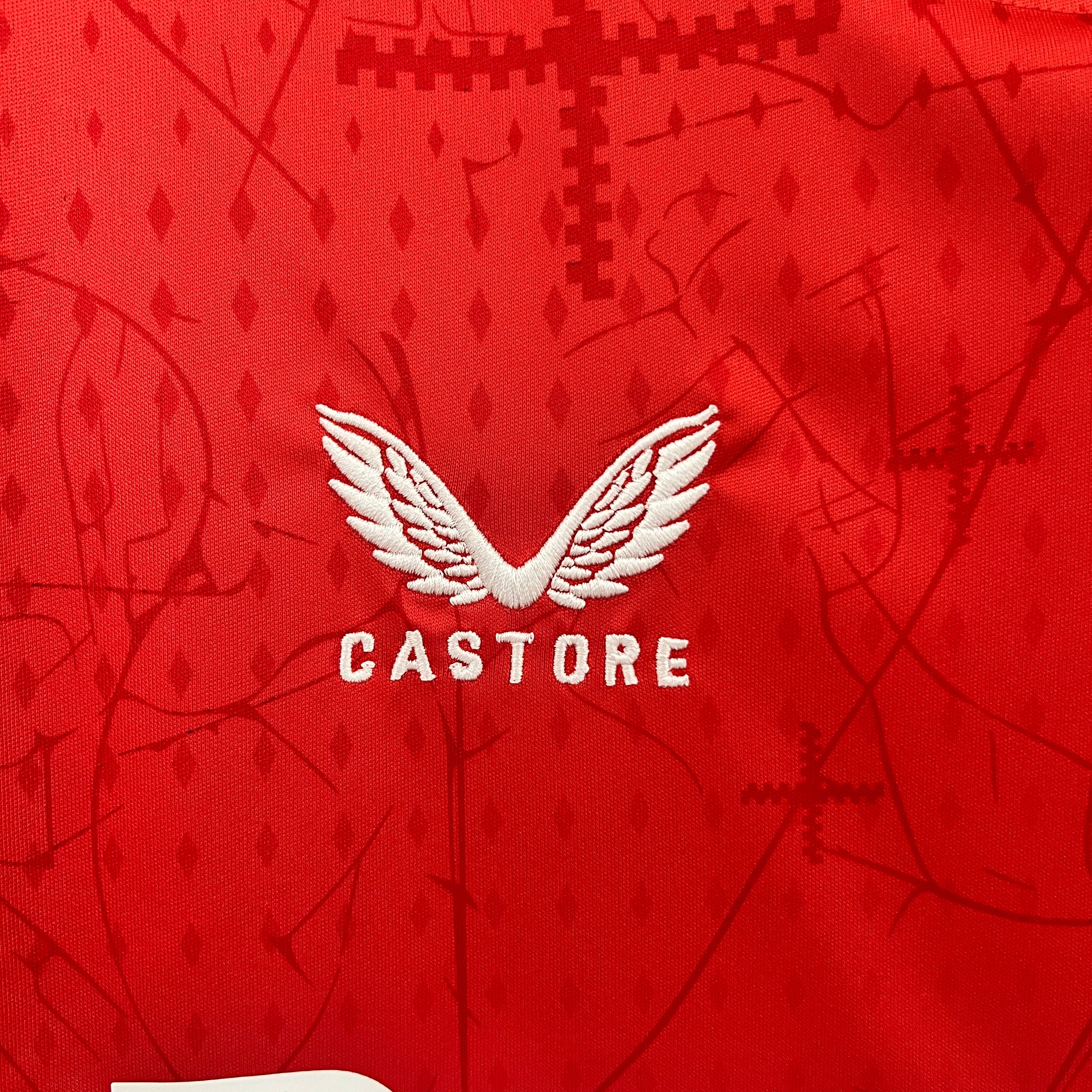 Bayer Leverkusen home jersey. Season 24/25