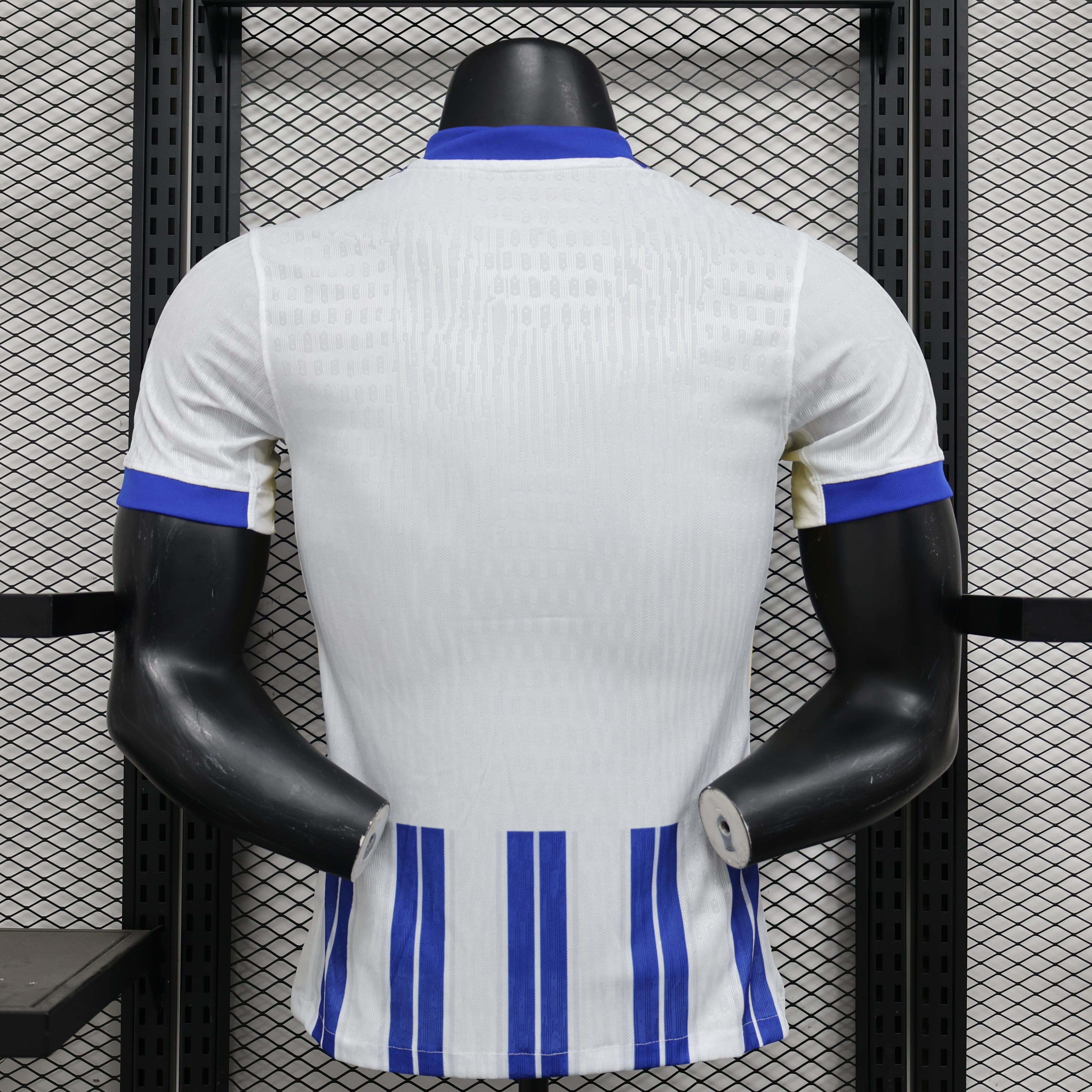 Brighton & Hove Albion home jersey. Season 24/25 (Player Version)
