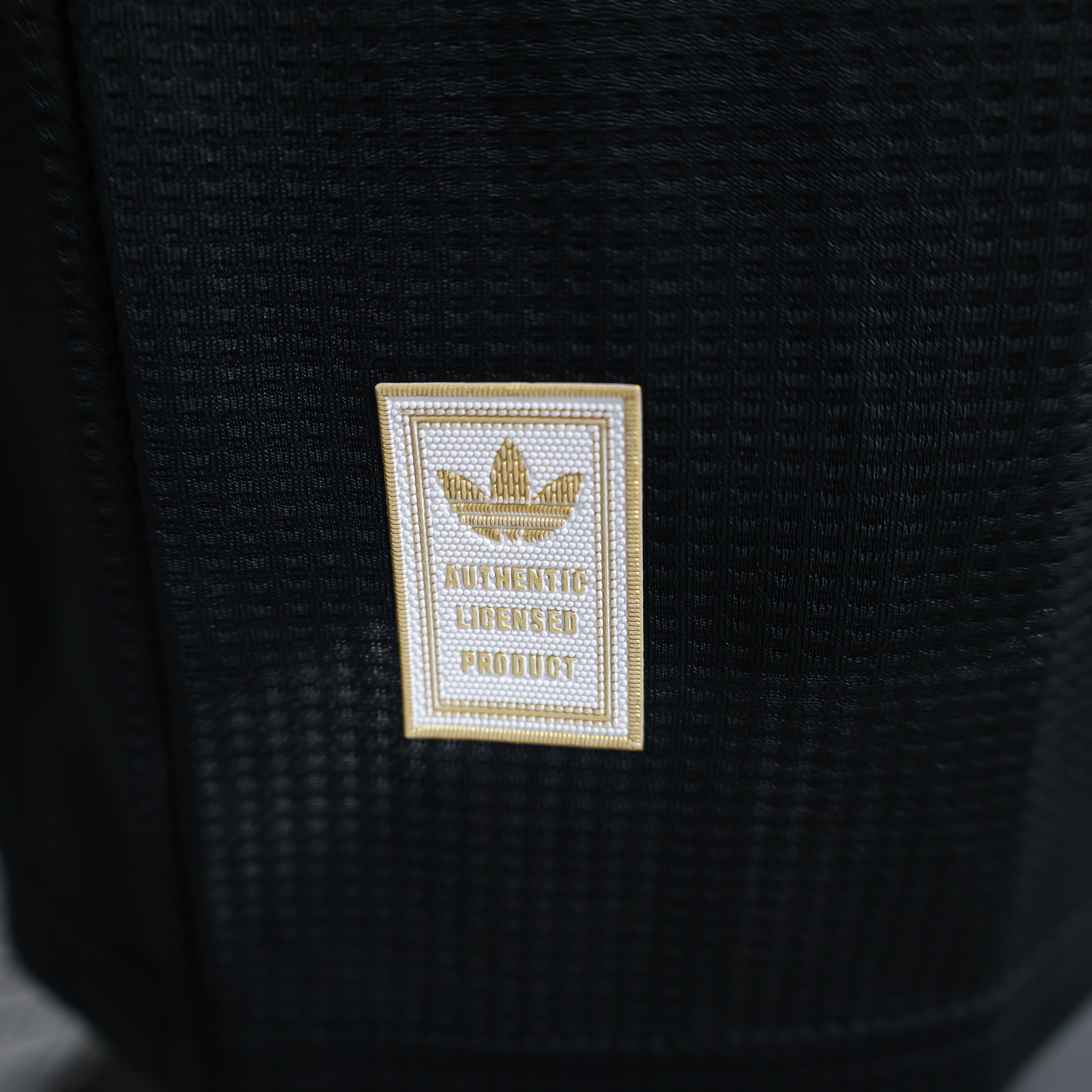 Bayern Munich Special Edition jersey. Season 24/25 (Player Version)